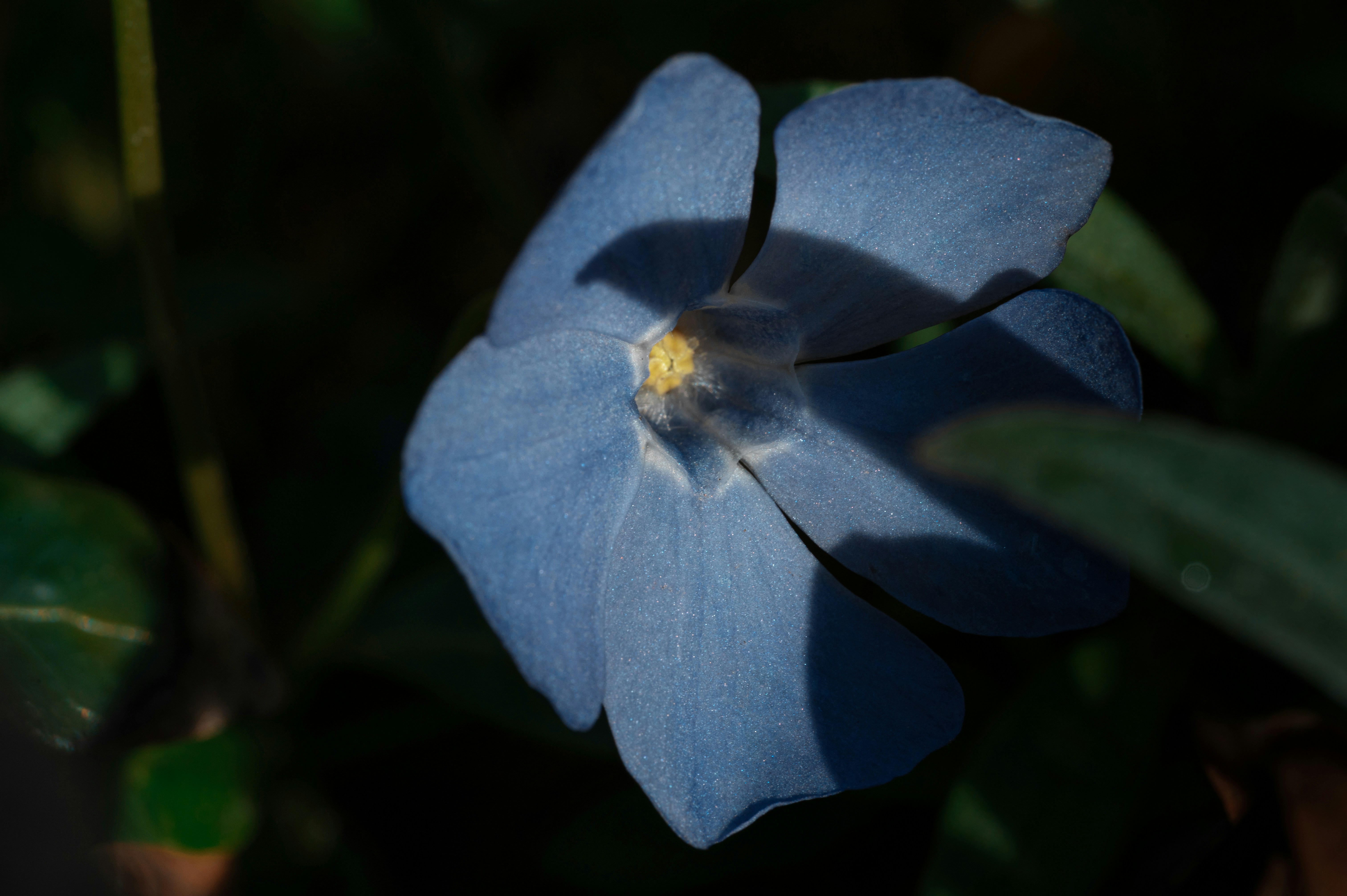 Photo by volodymyr_leush