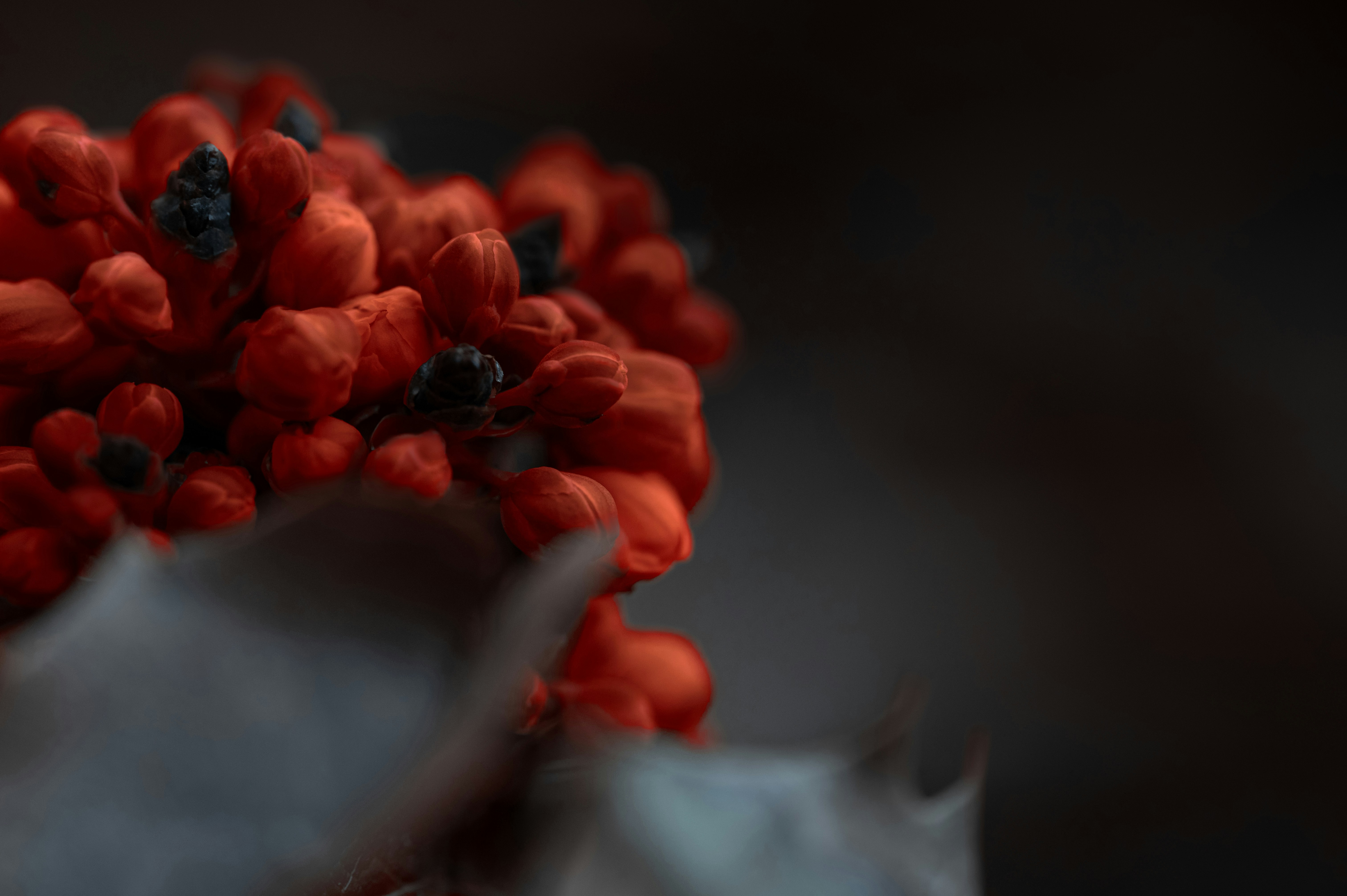 Photo by volodymyr_leush