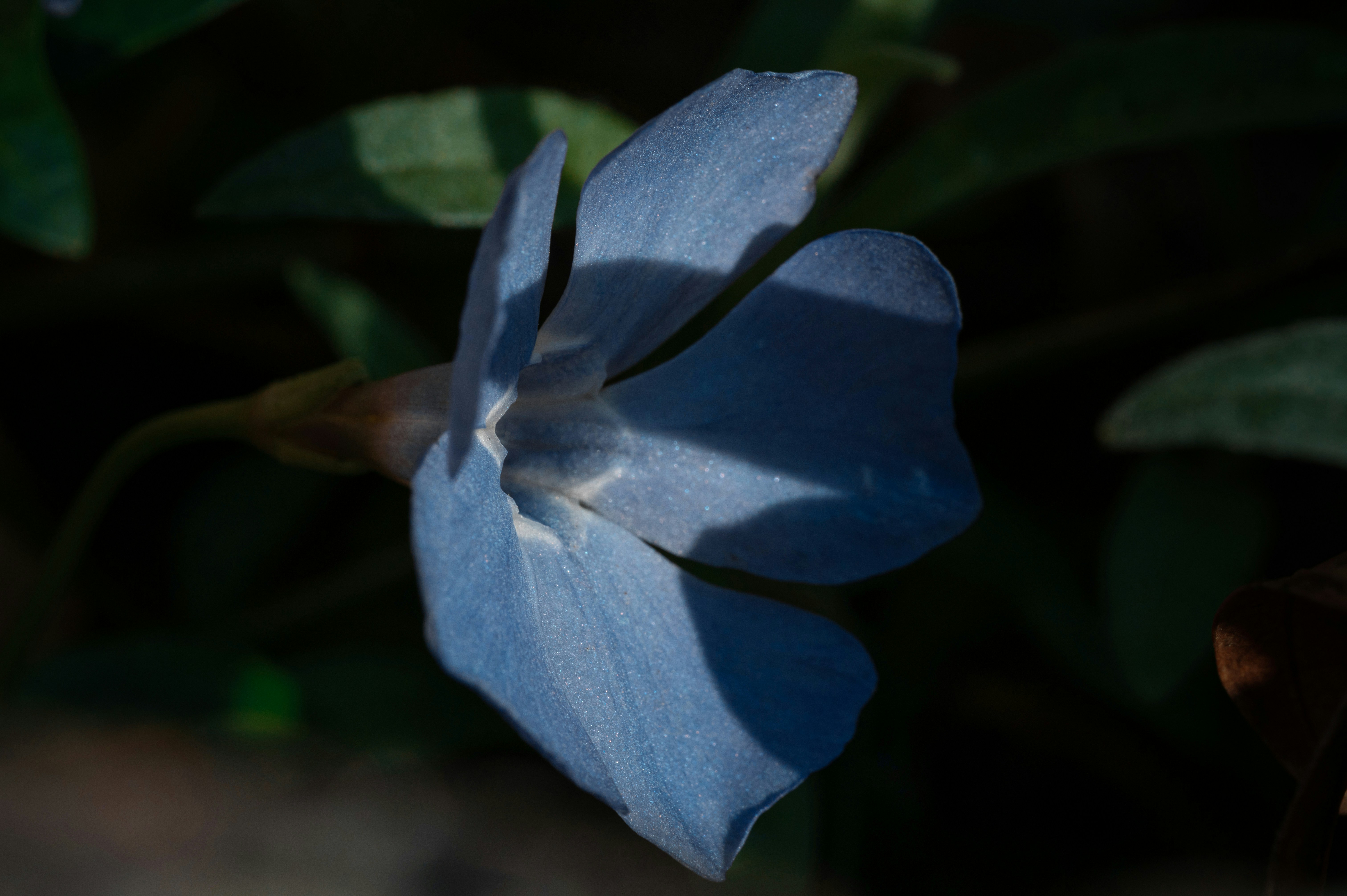 Photo by volodymyr_leush