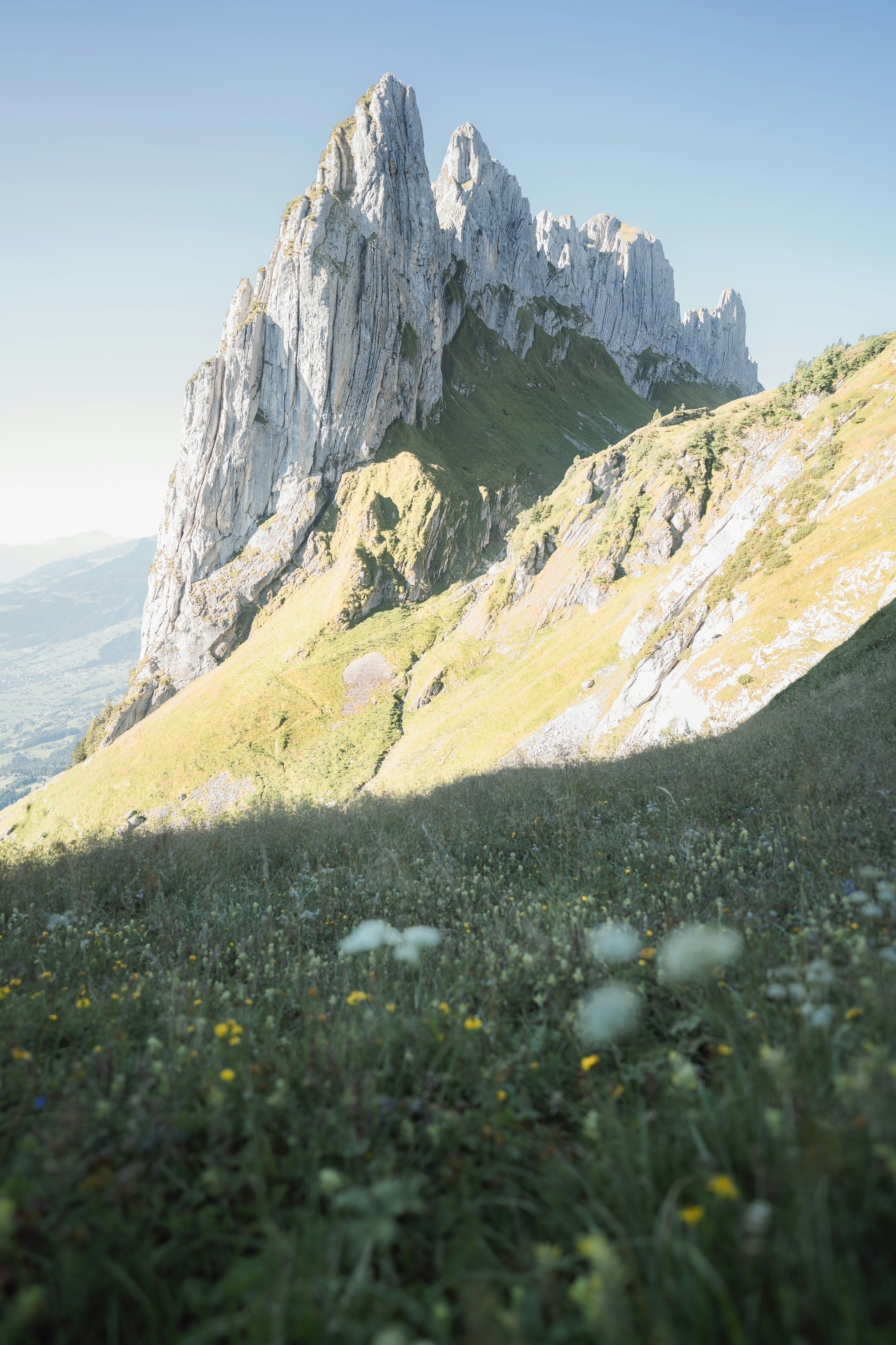 Jagged mountain peaks rise above a grassy slope