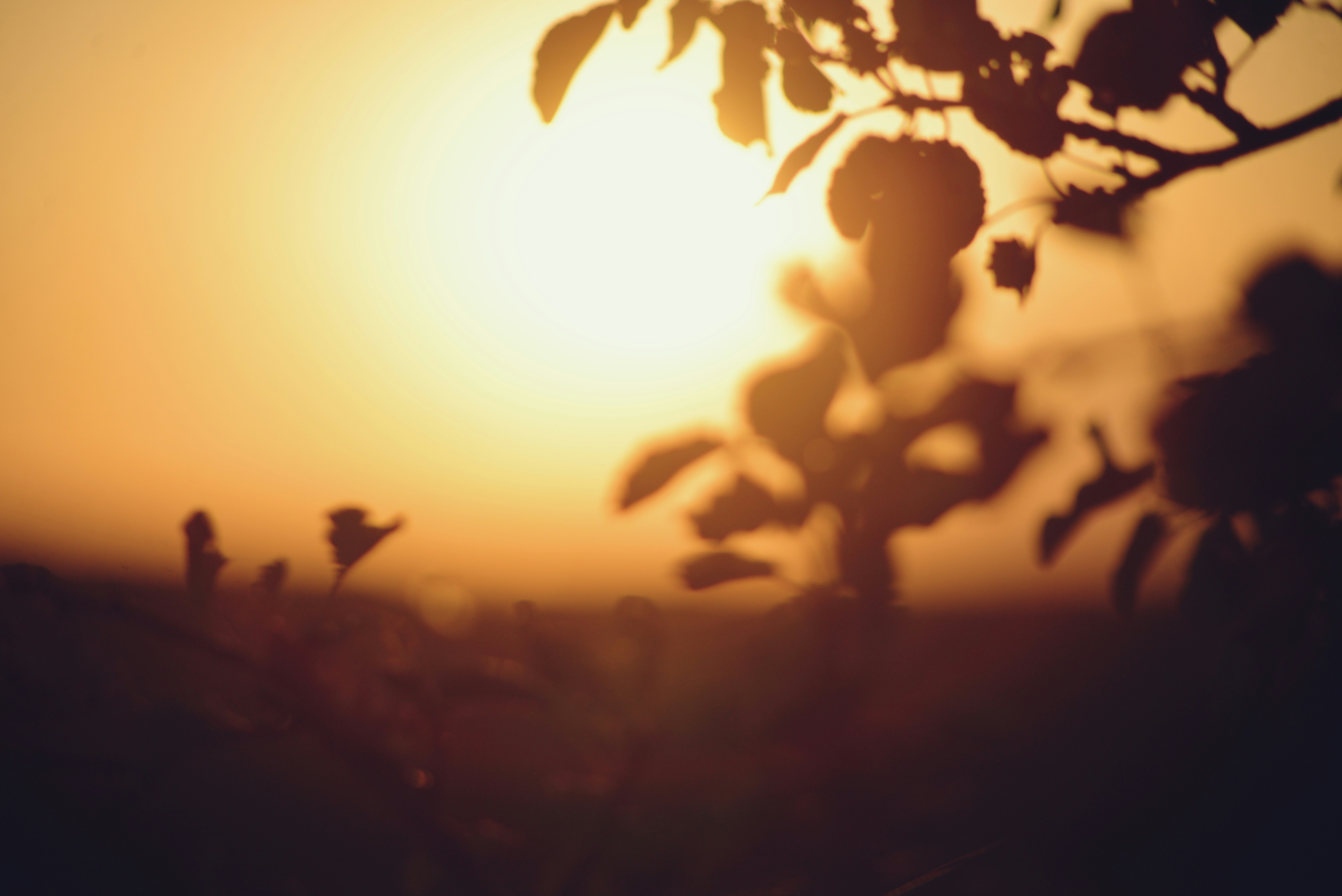 Photo by cherstve_pechivo