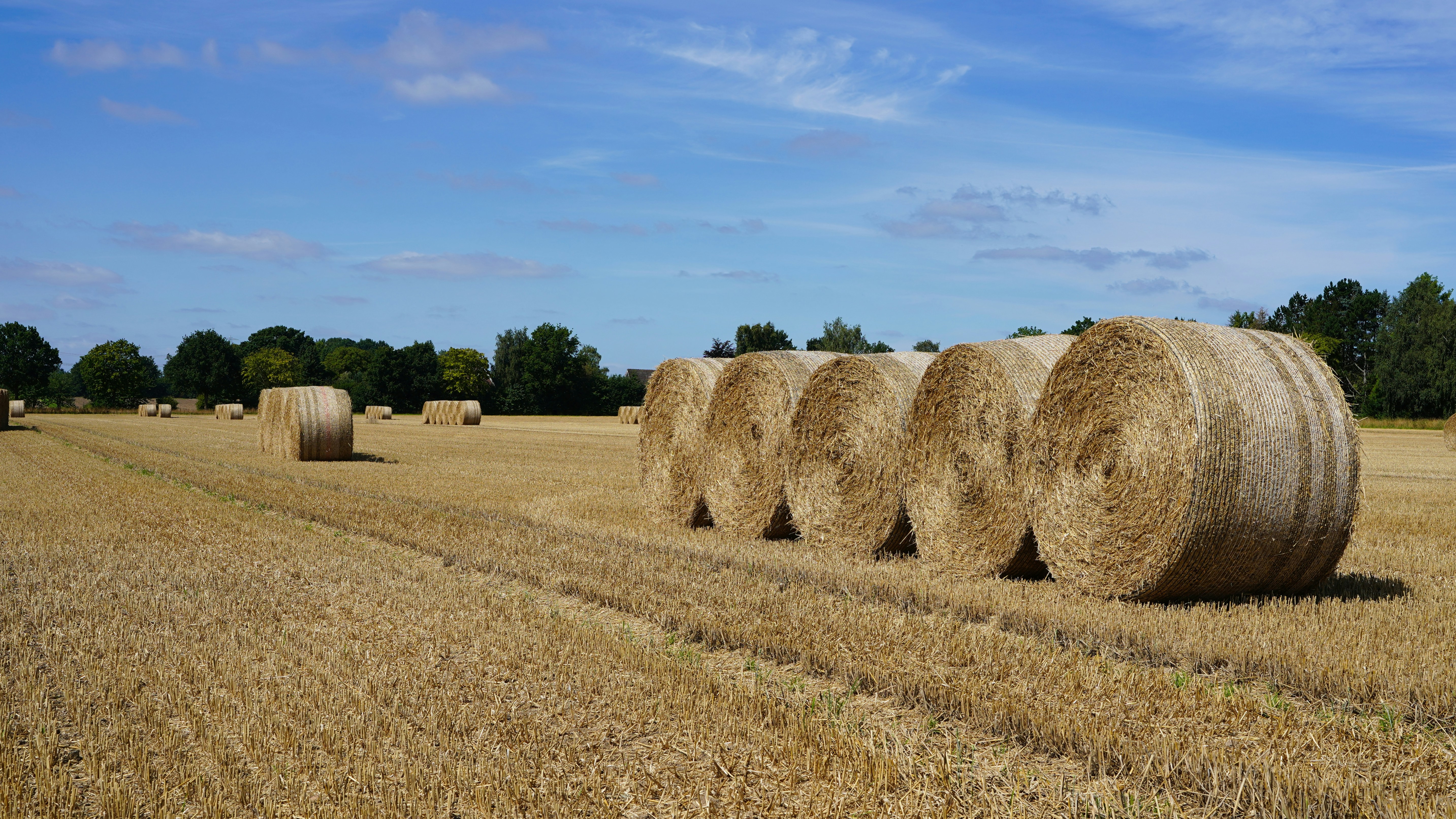 Photo by hamburgmeinefreundin