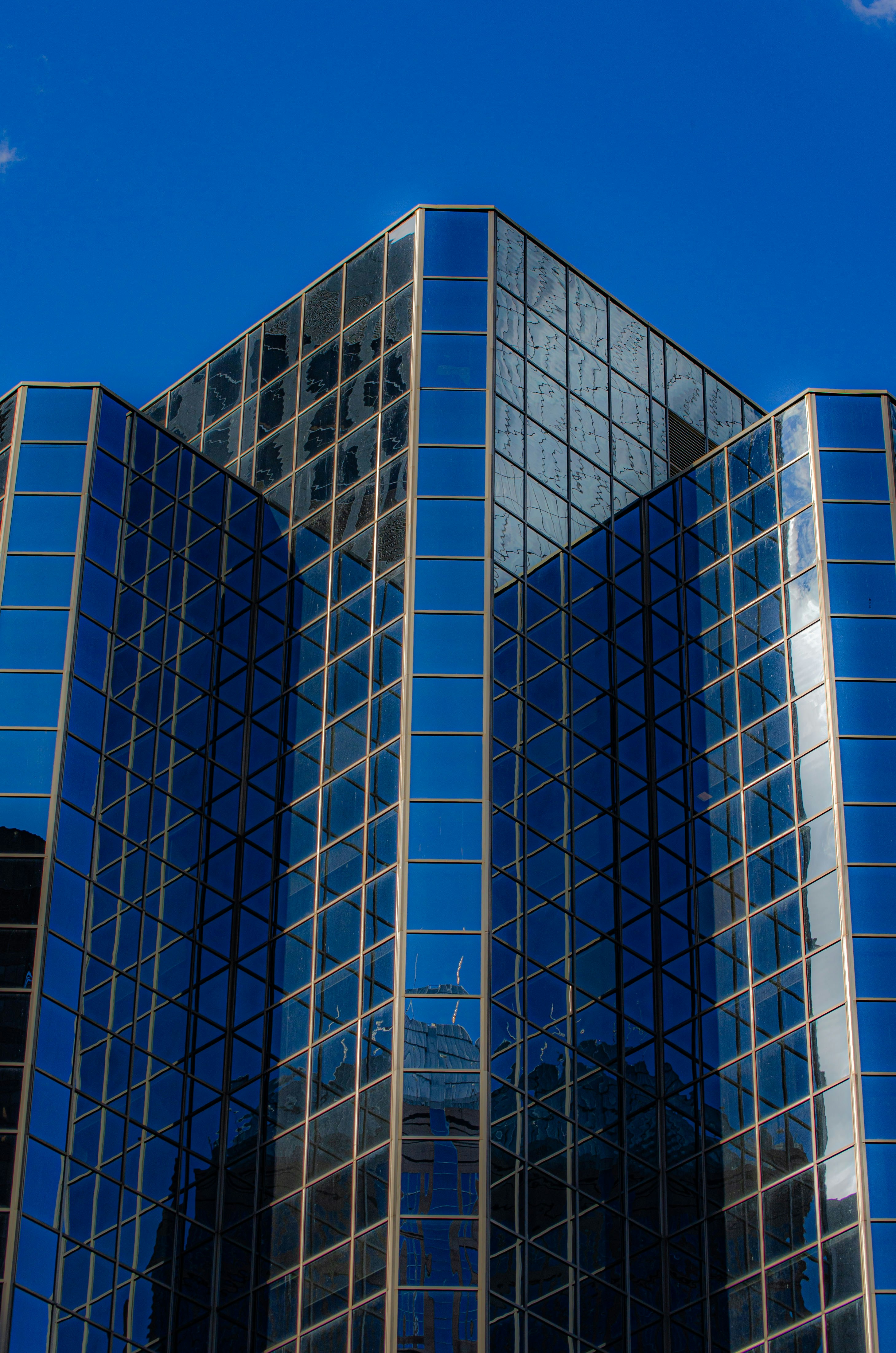 Photo by dmytro_yarish