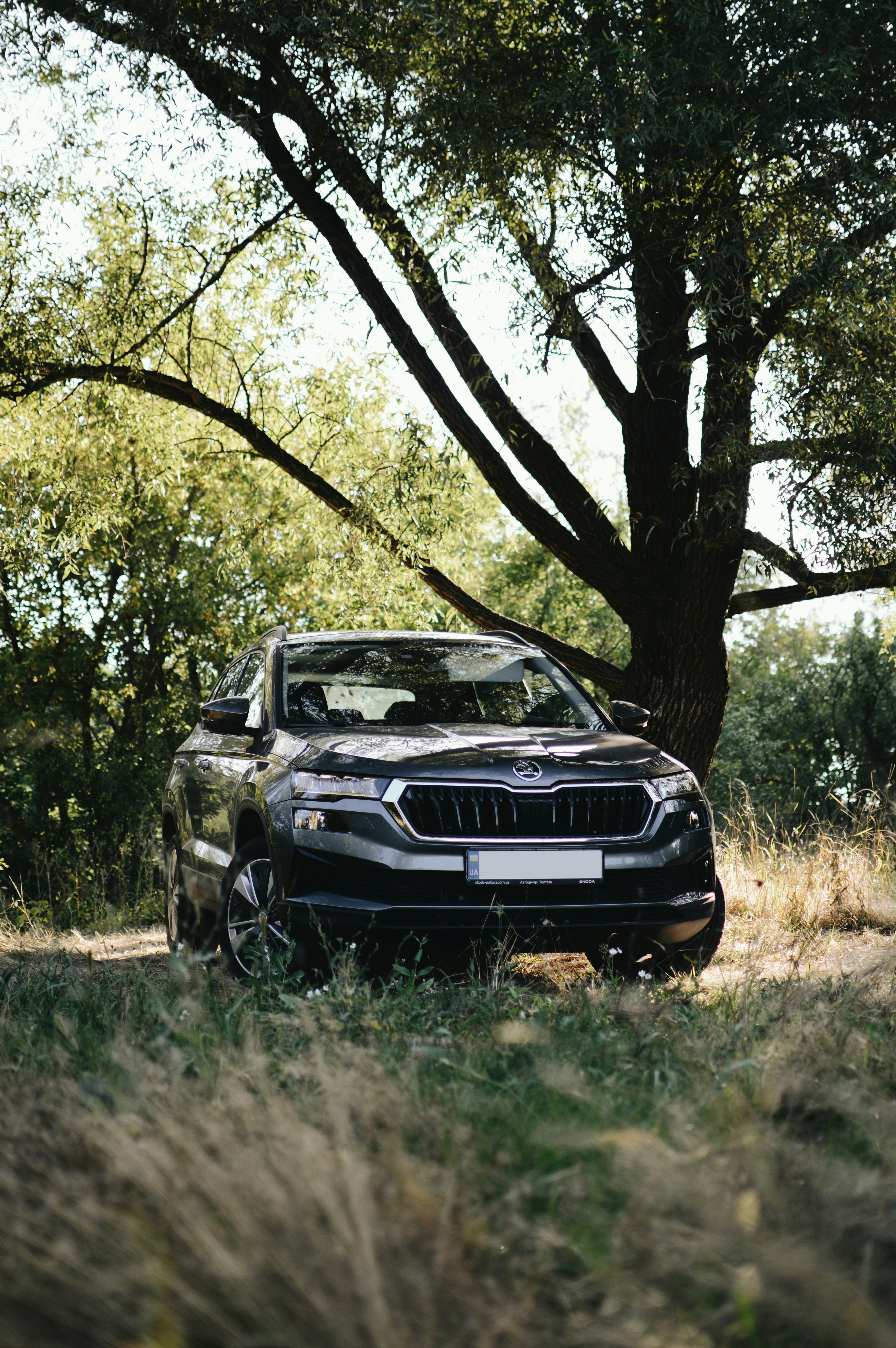 Suv scuro parcheggiato sotto un grande albero.