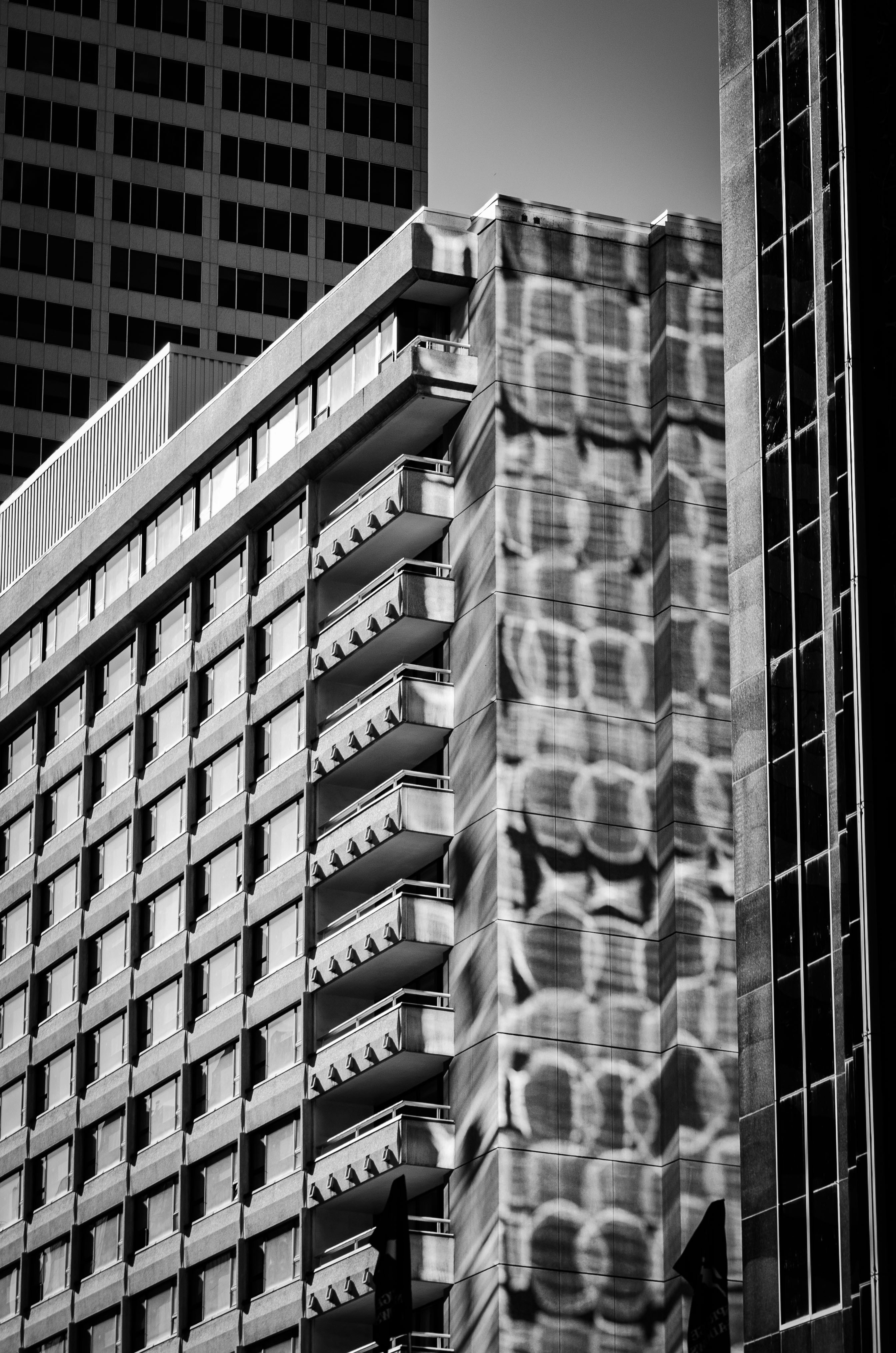 Photo by dmytro_yarish