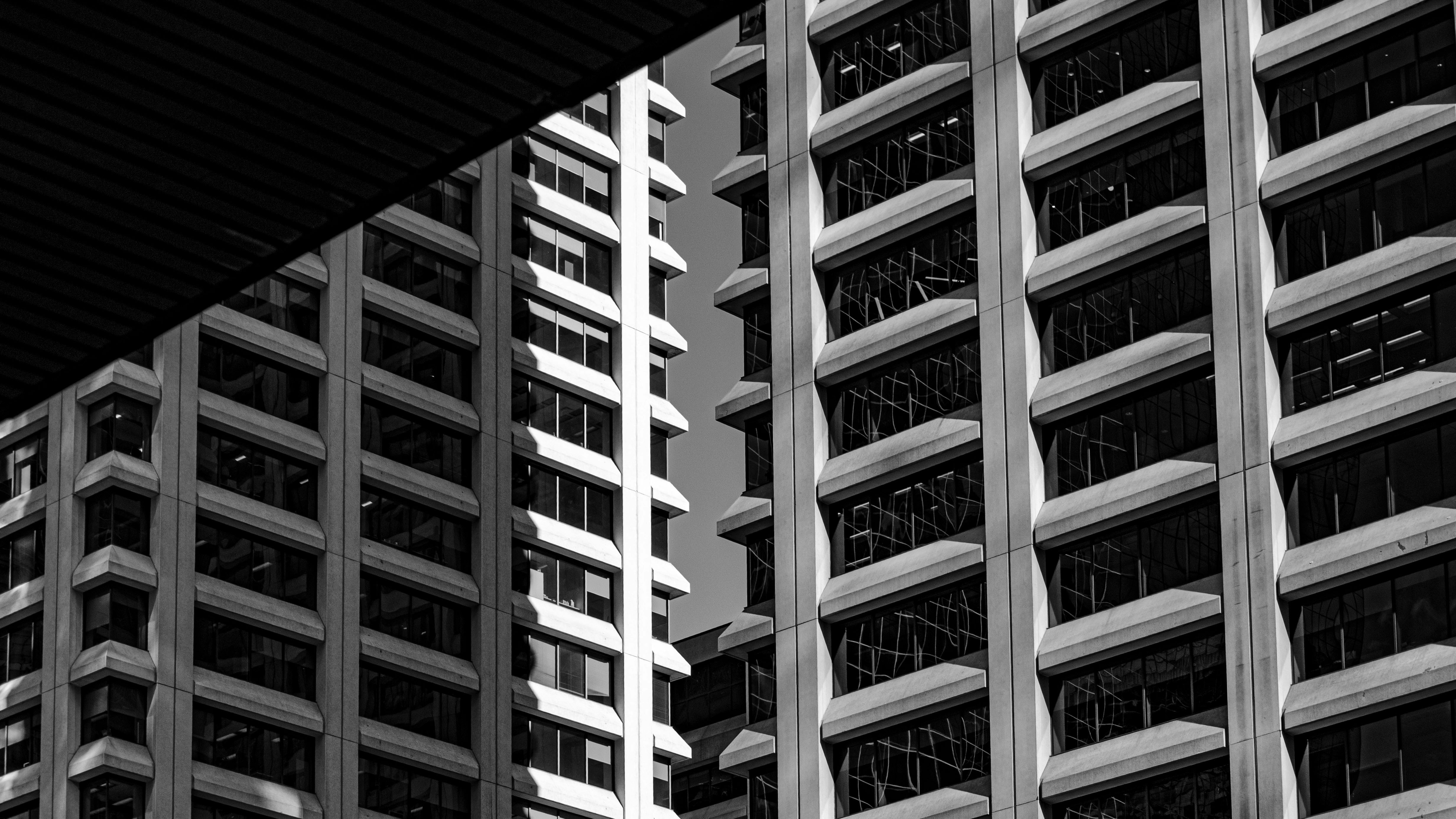 Photo by dmytro_yarish