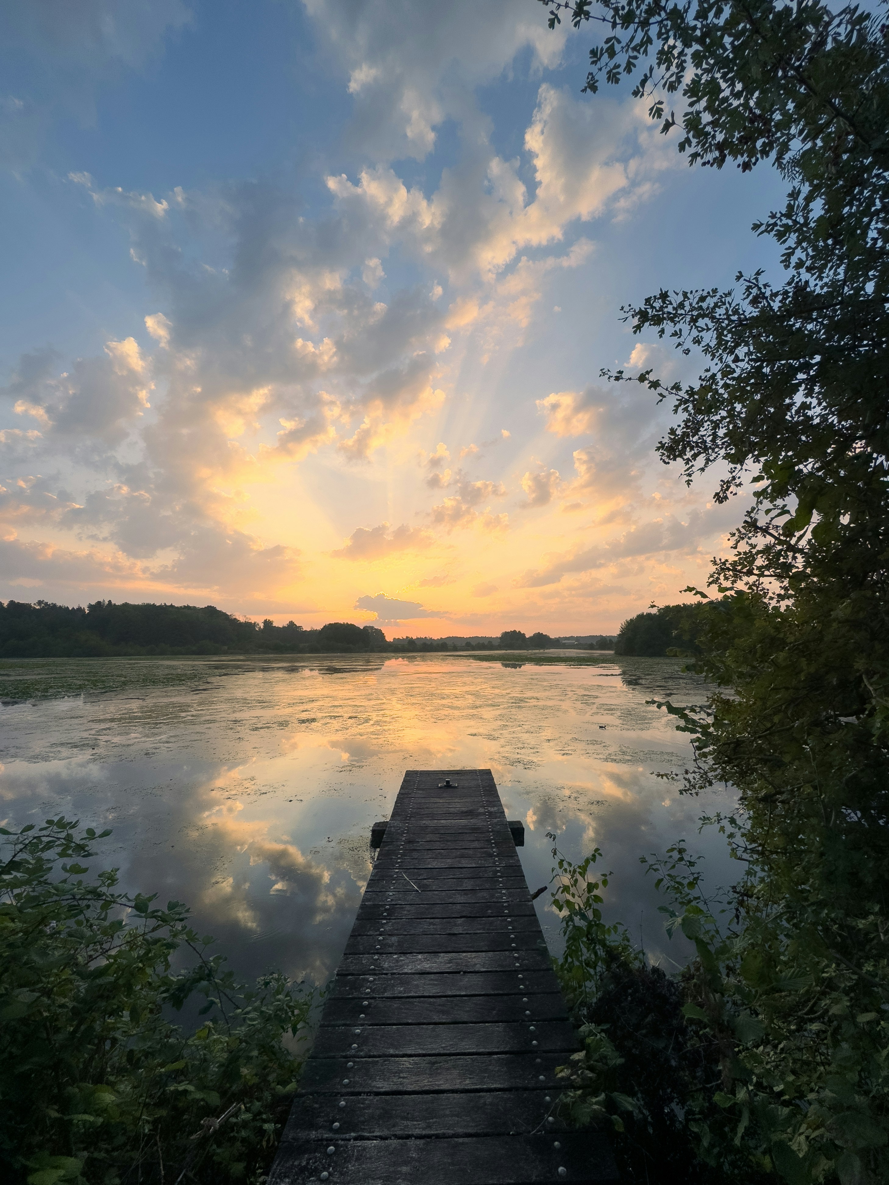 Wooden dock on a lake at sunset
