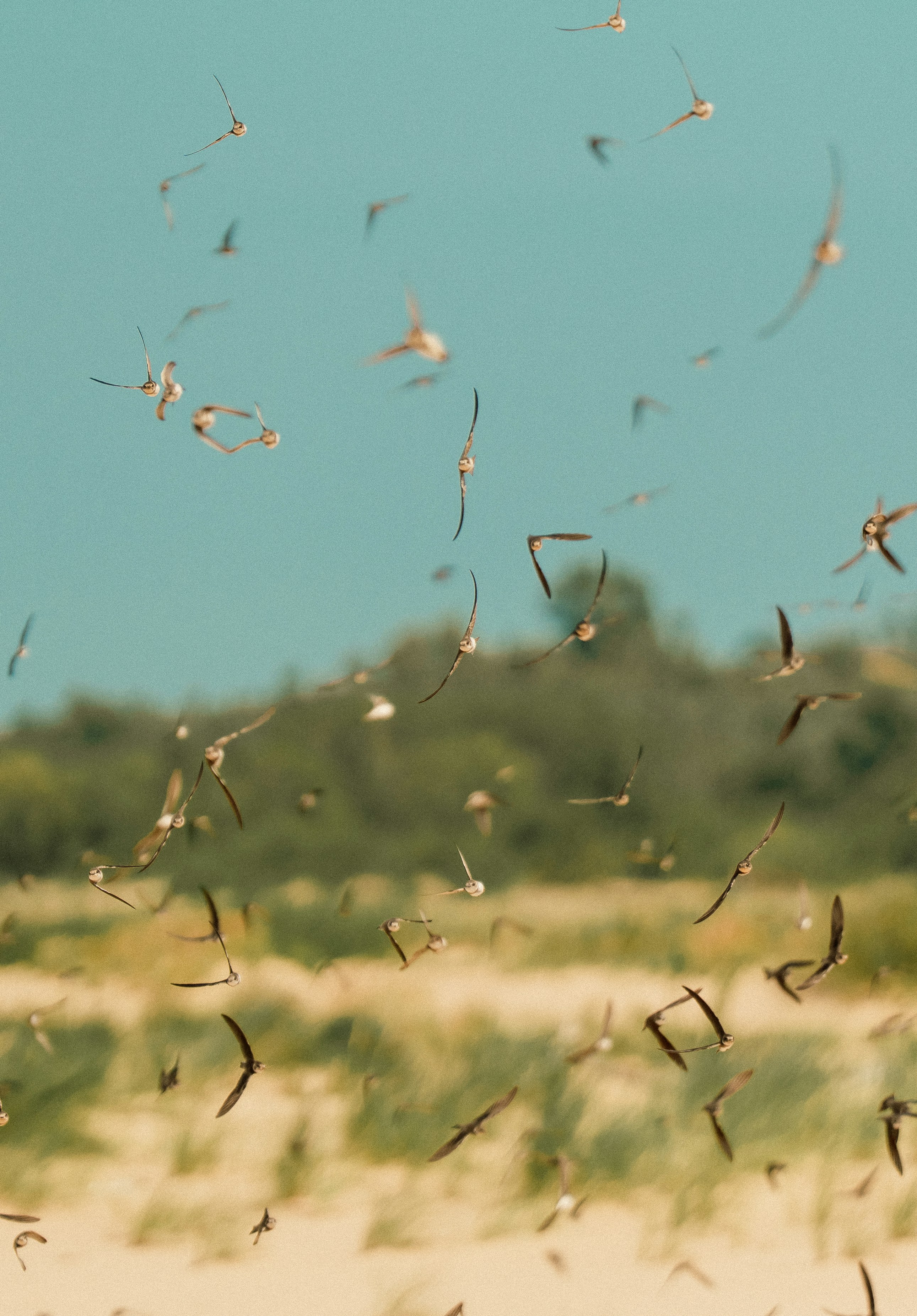 Photo by jakubzerdzicki