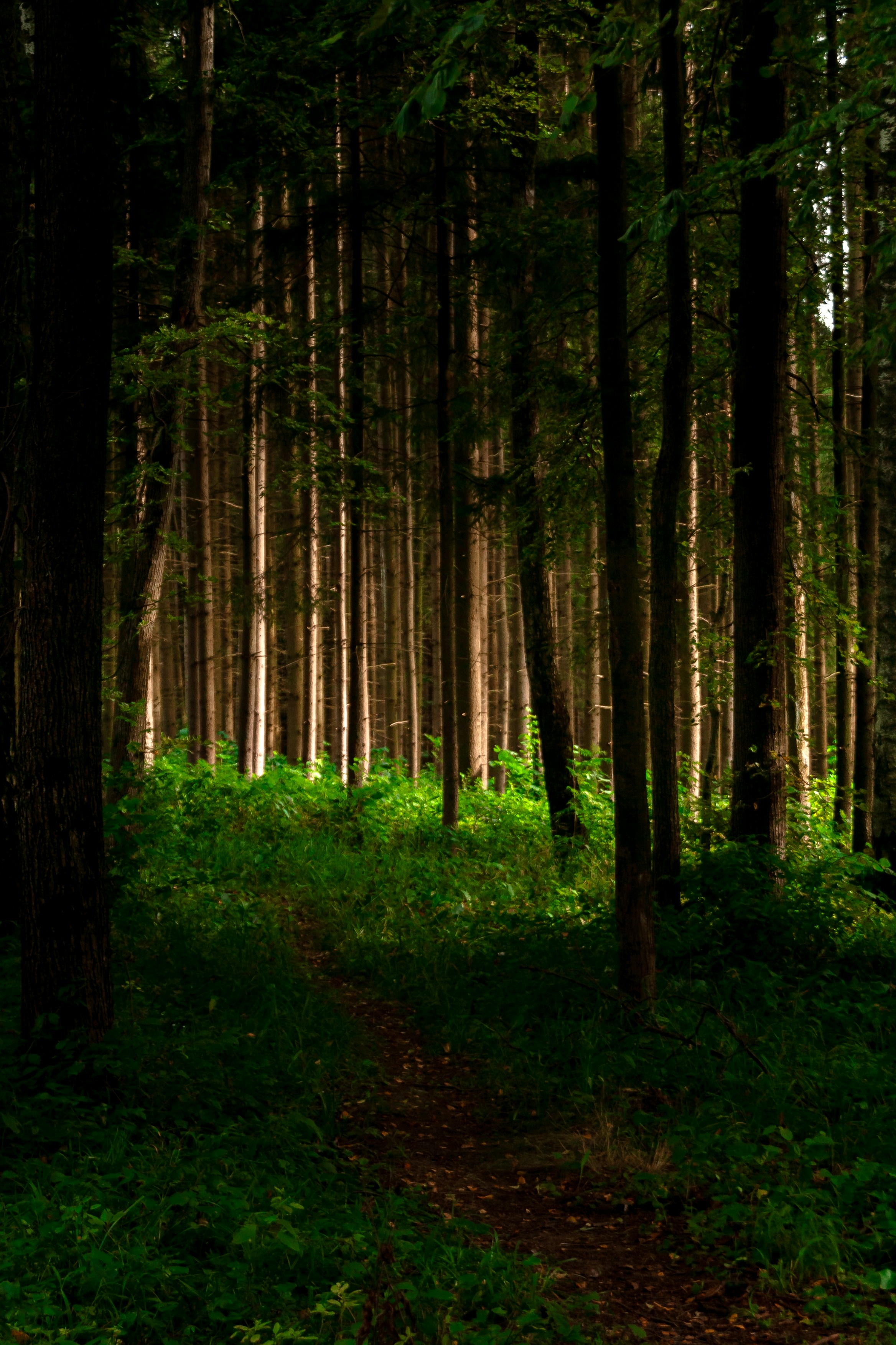 Photo by kulikovnik2