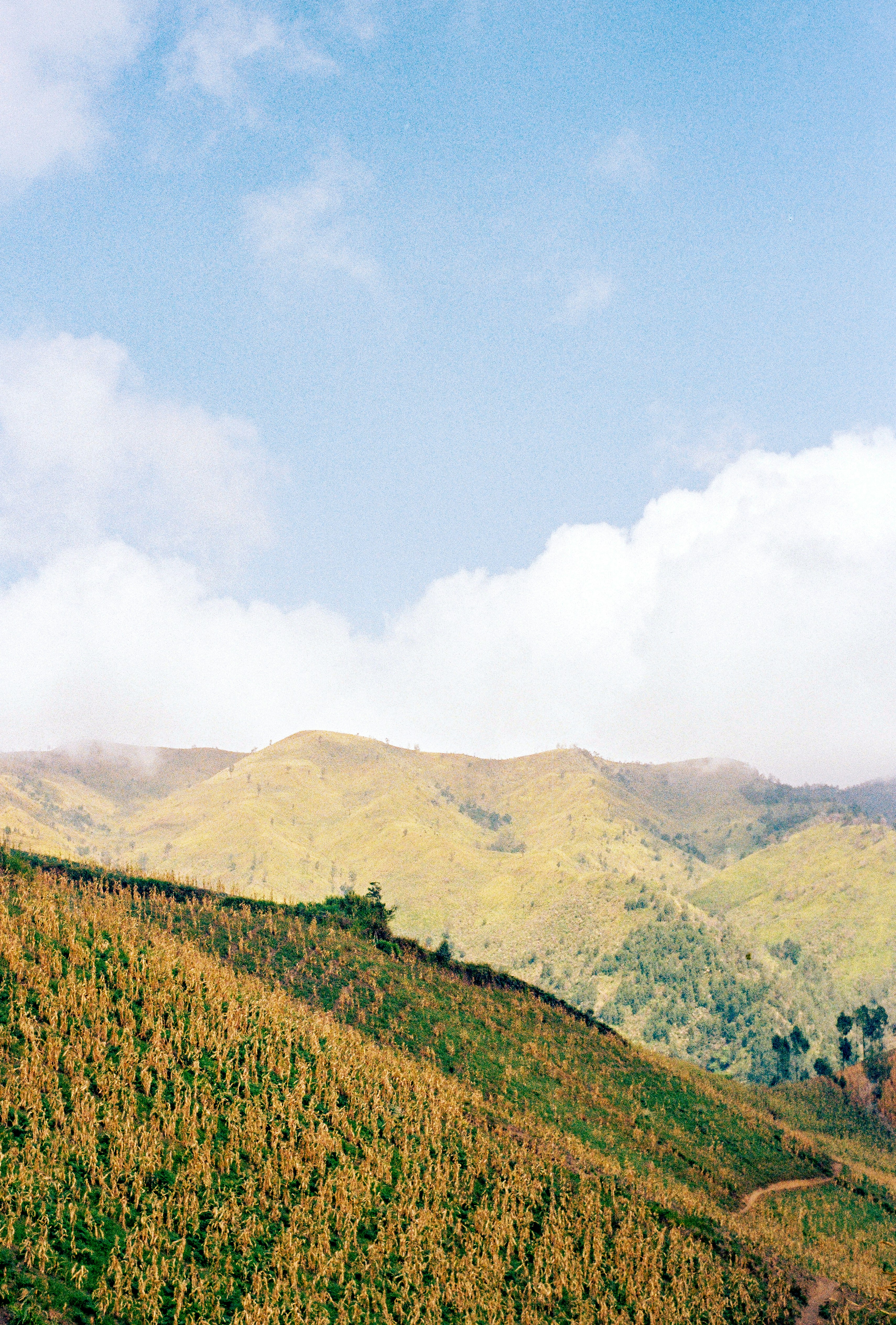 Photo by annoying_salman