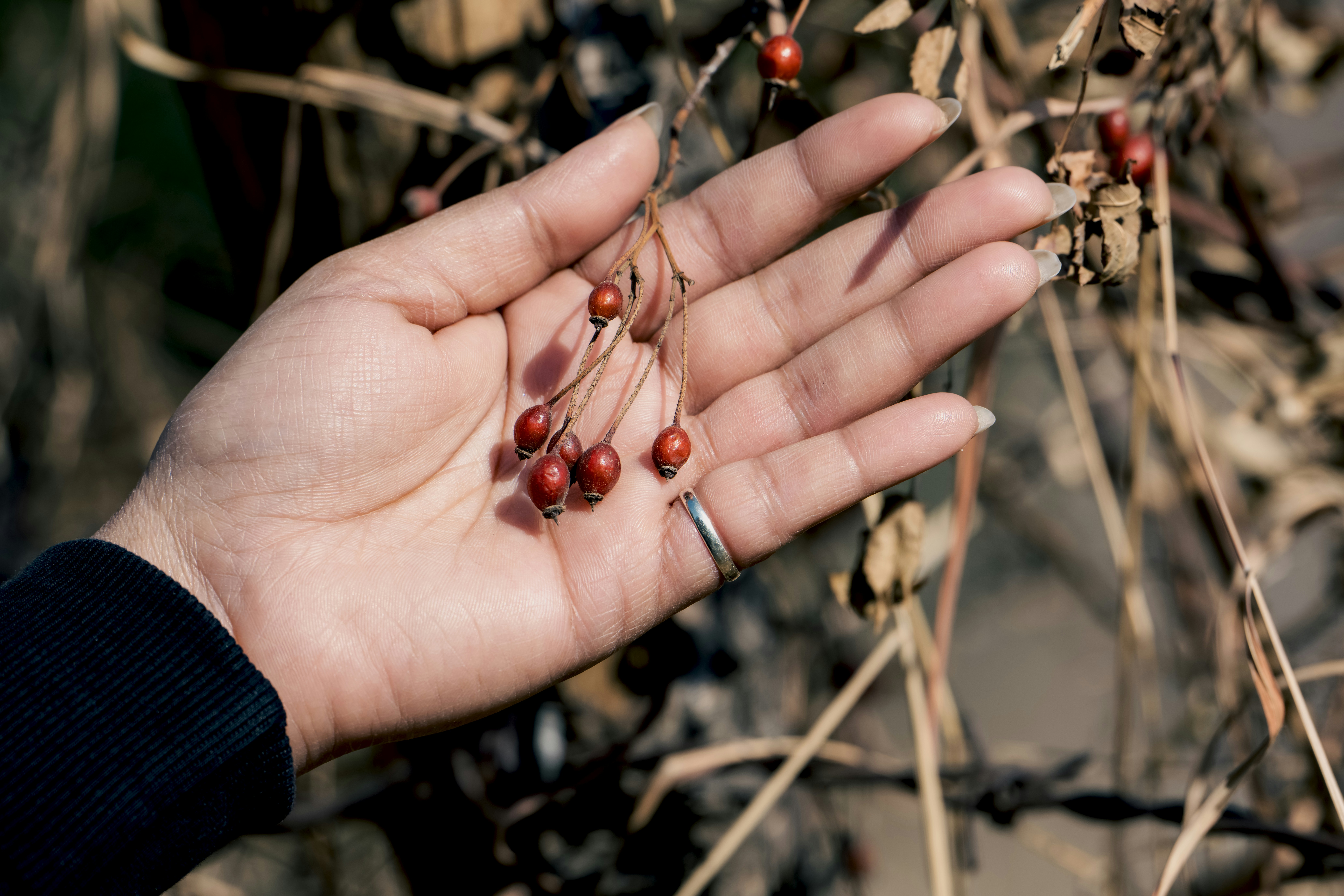 Photo by anubhavsonker