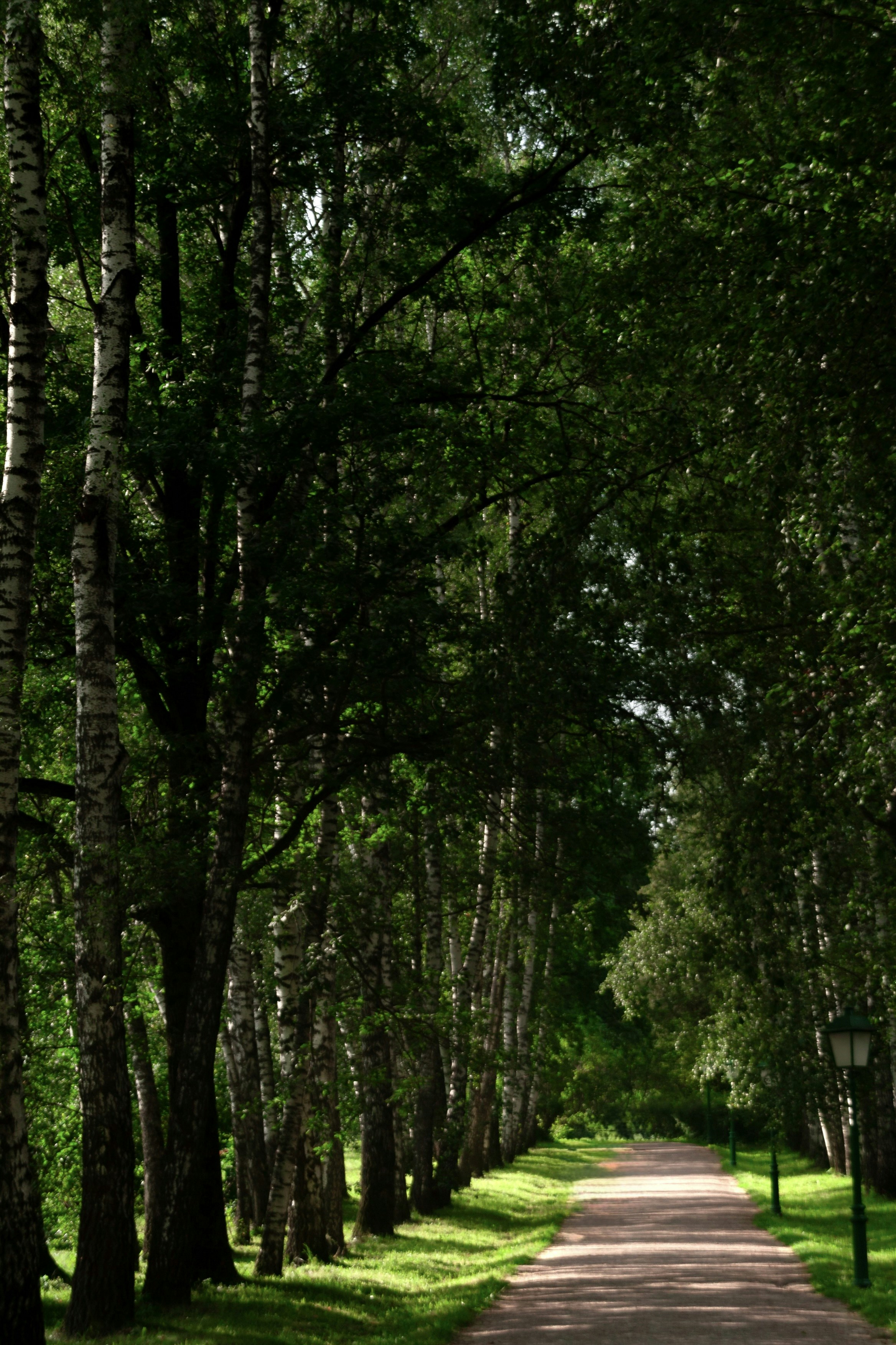 Photo by kulikovnik2