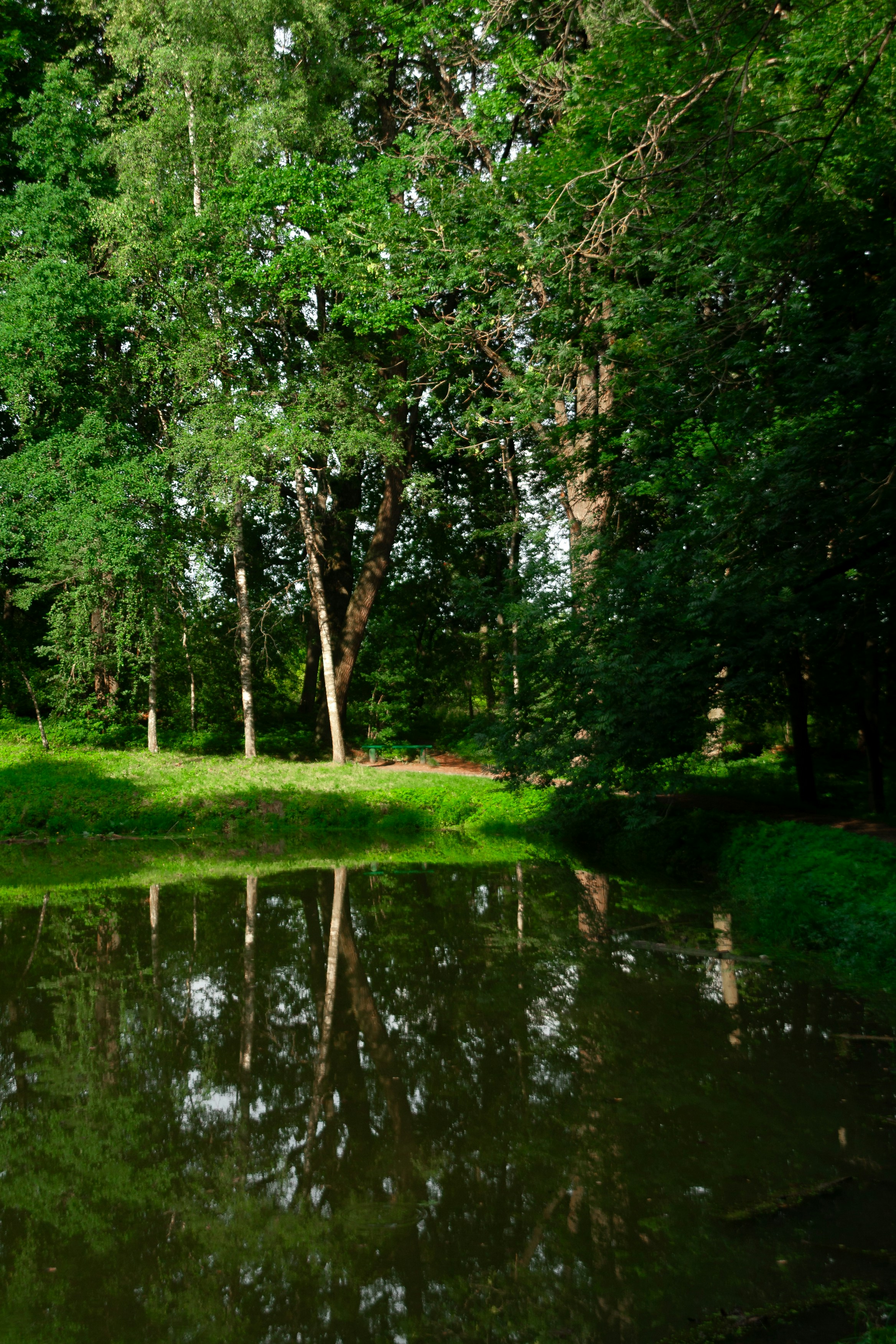 Photo by kulikovnik2