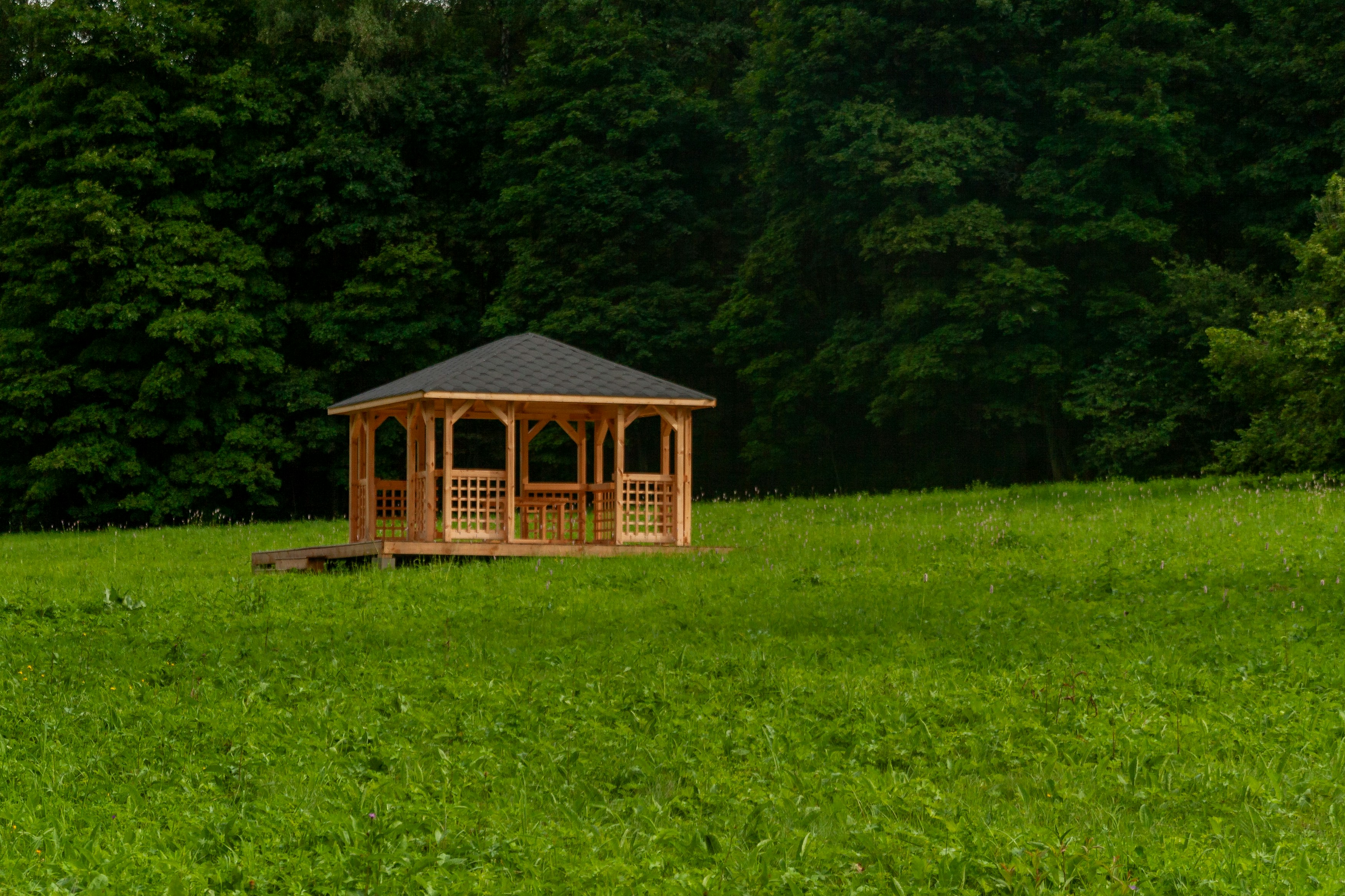 Affordable Holistic Hemp THCA: Natural Wellness Guide