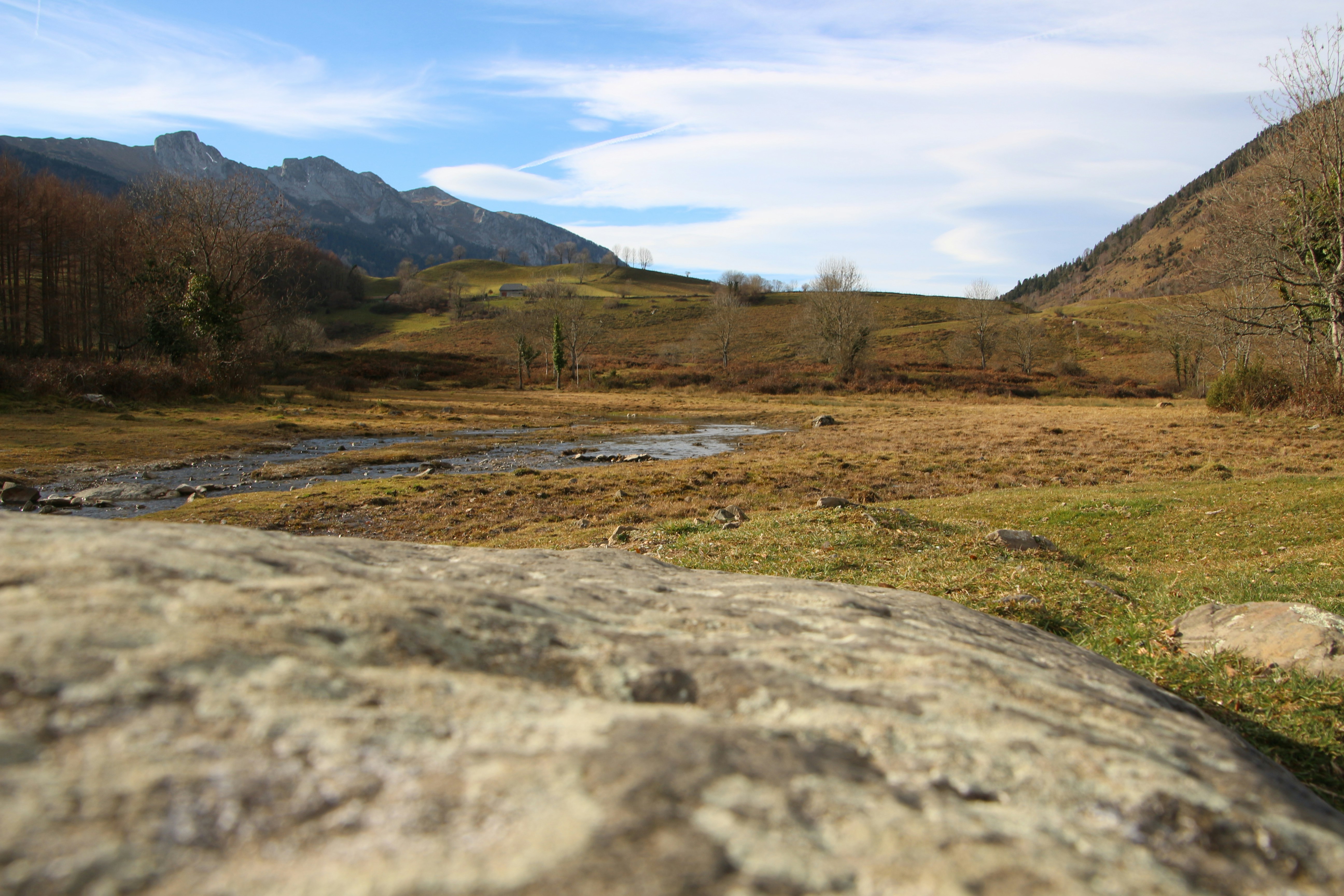 A wide grassy valley with mountains under a cloudy sky.