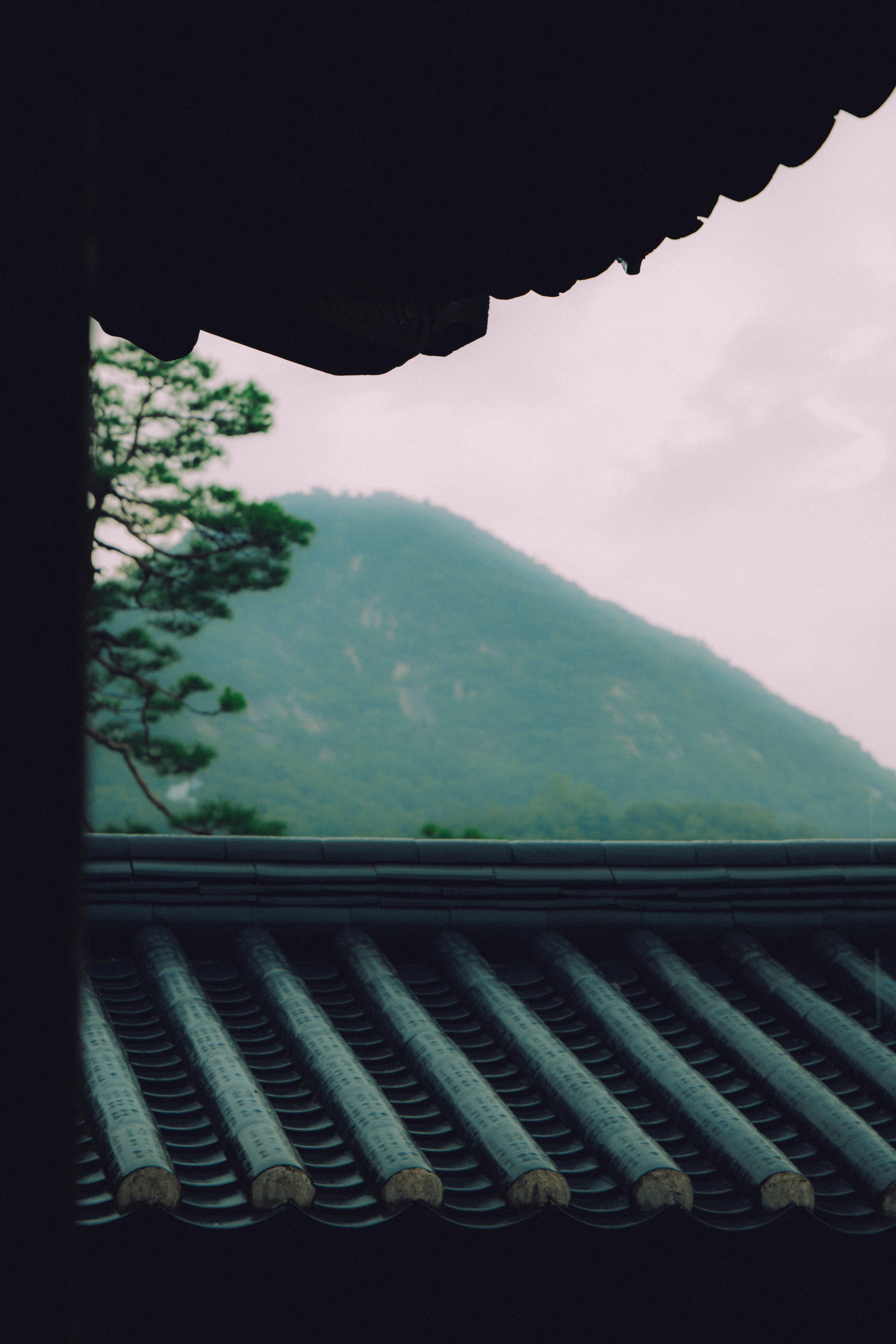 Photo by brother_yoon