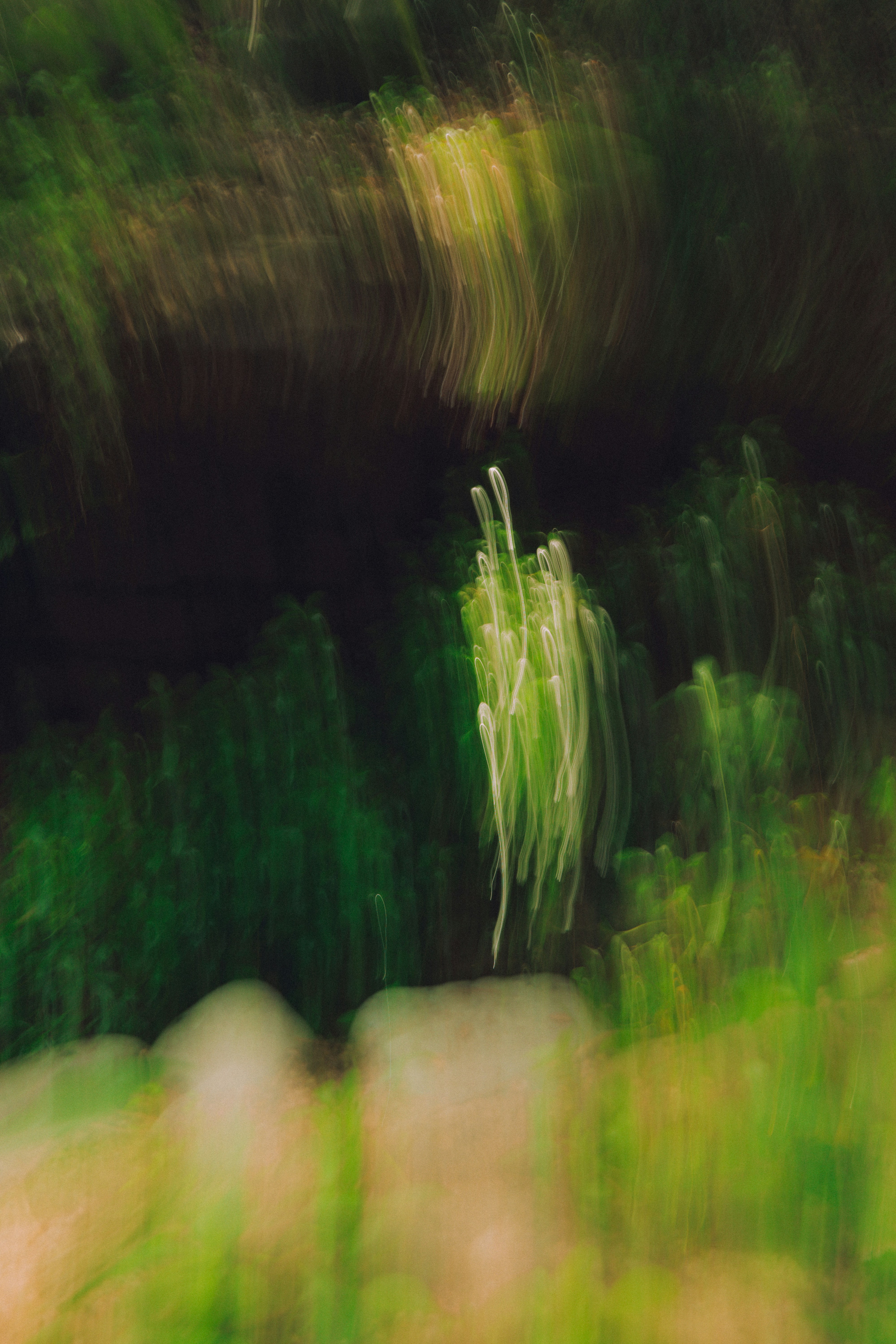 Photo by brother_yoon