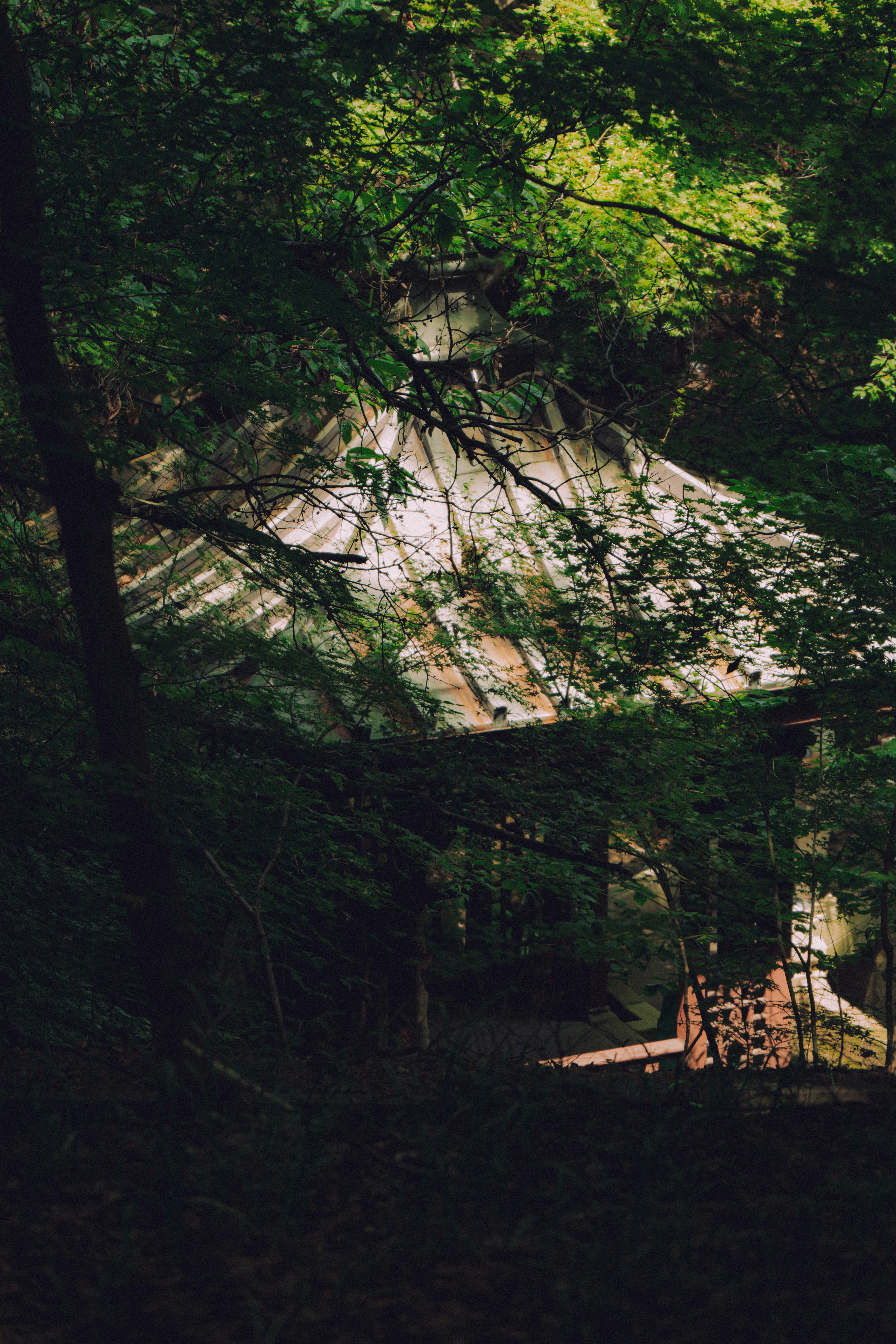 Photo by brother_yoon