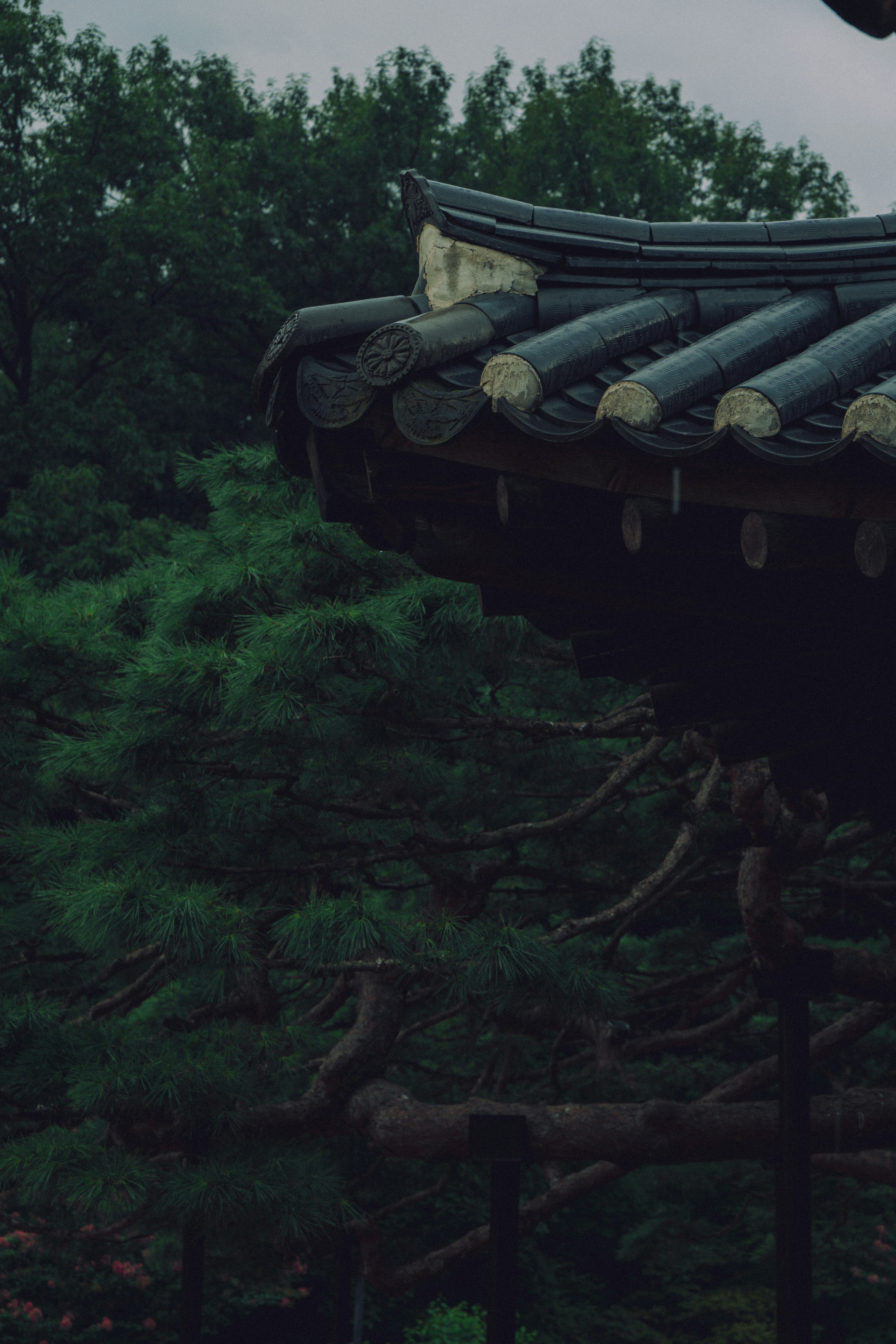 Photo by brother_yoon