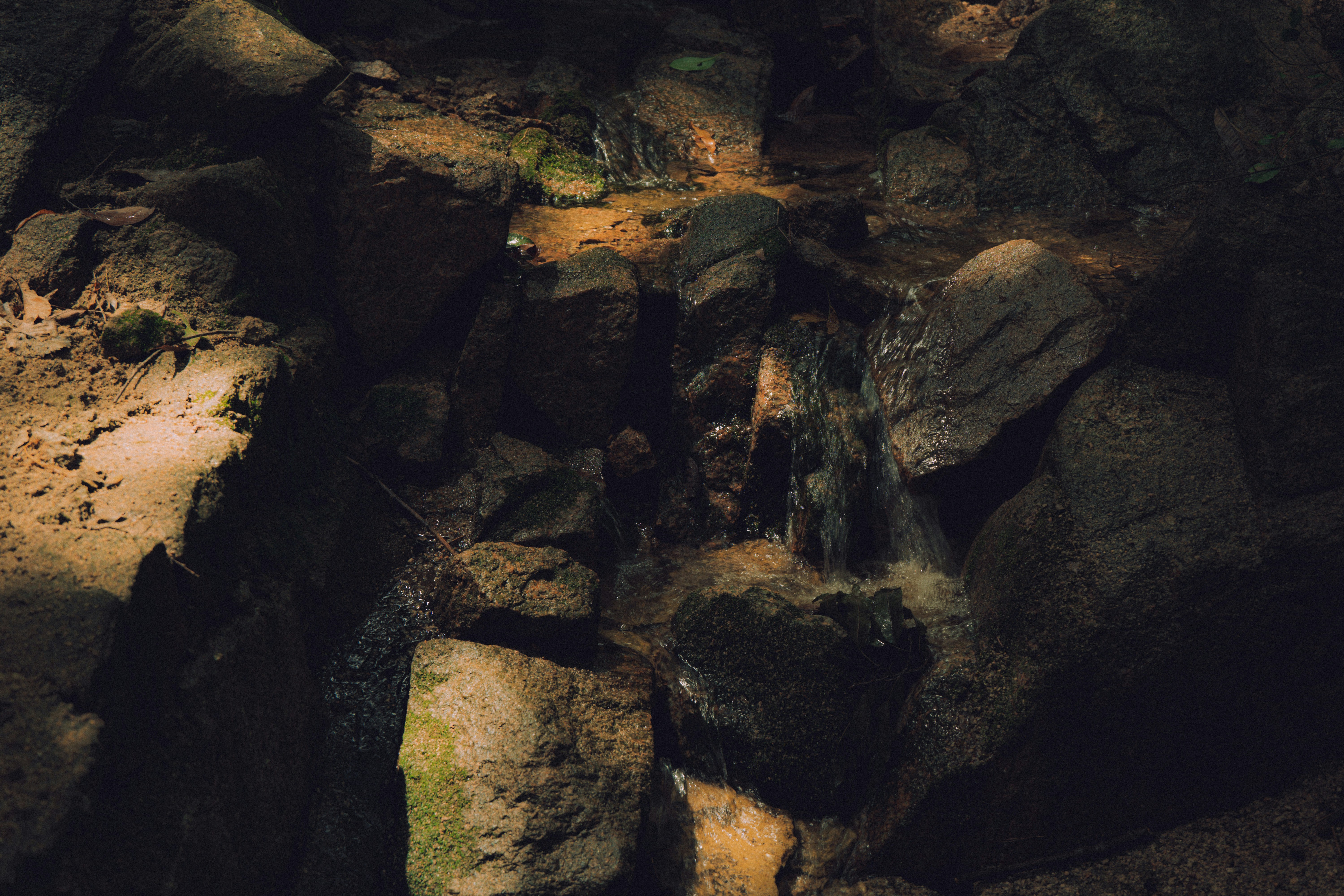 Photo by brother_yoon