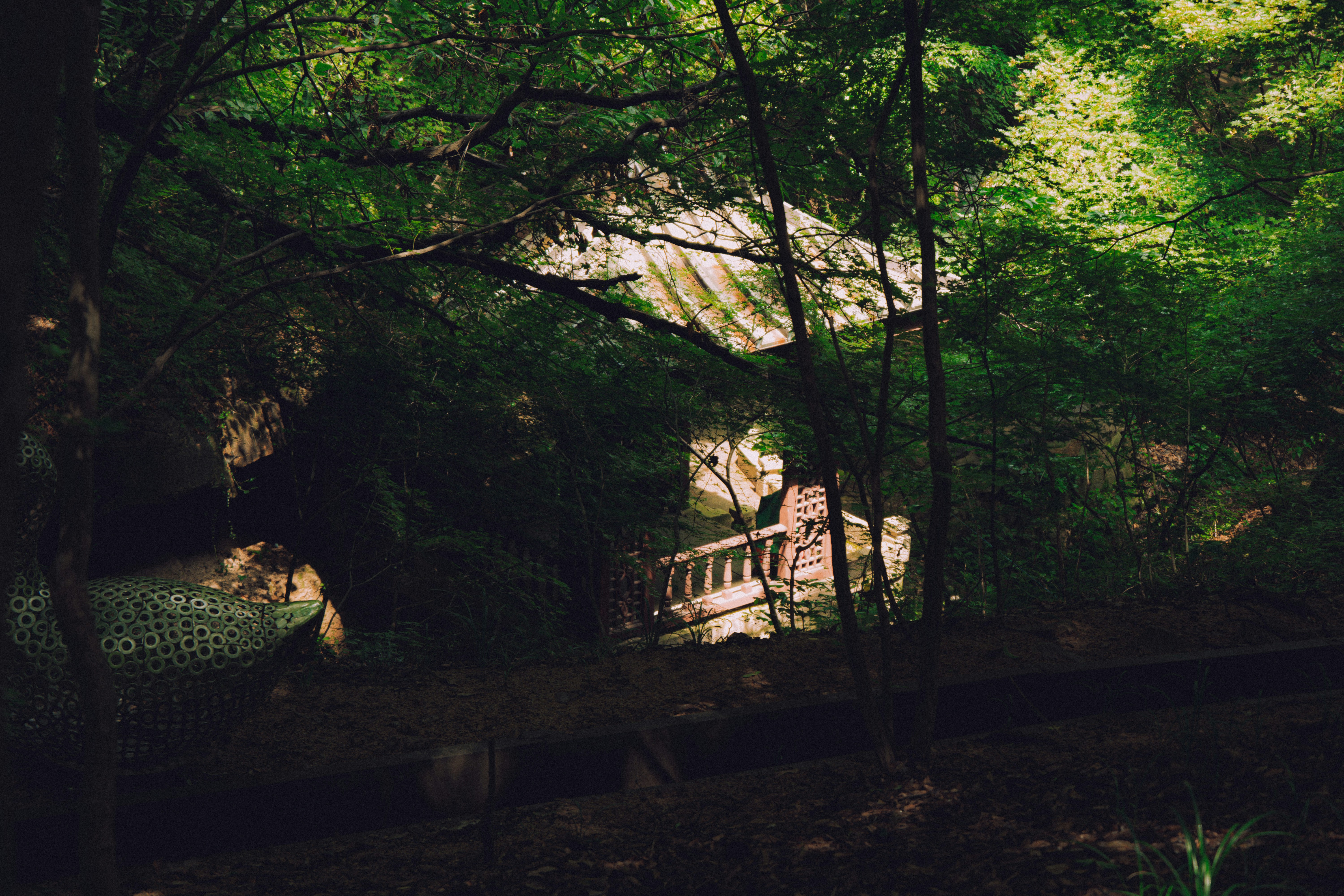 Photo by brother_yoon