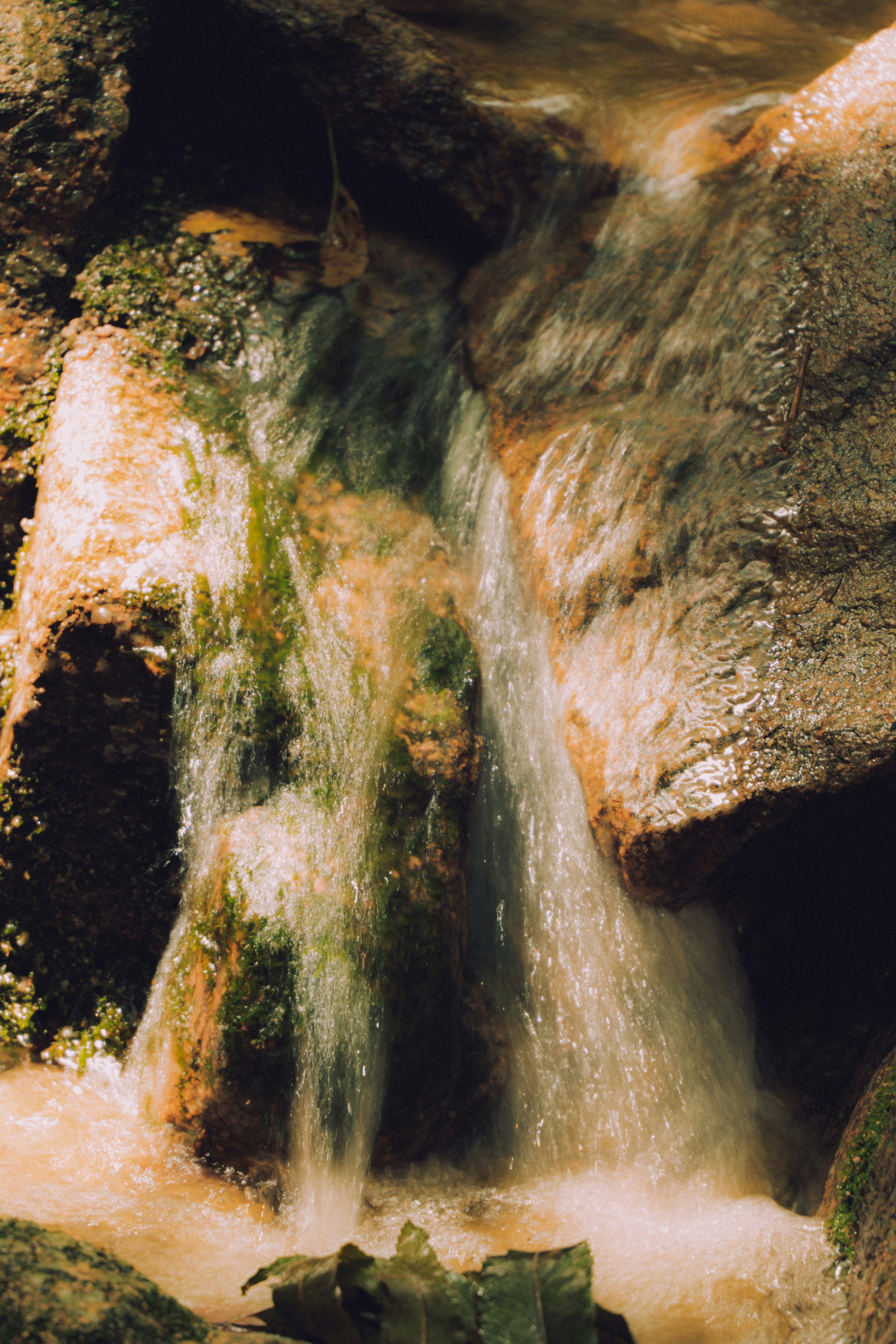 Photo by brother_yoon