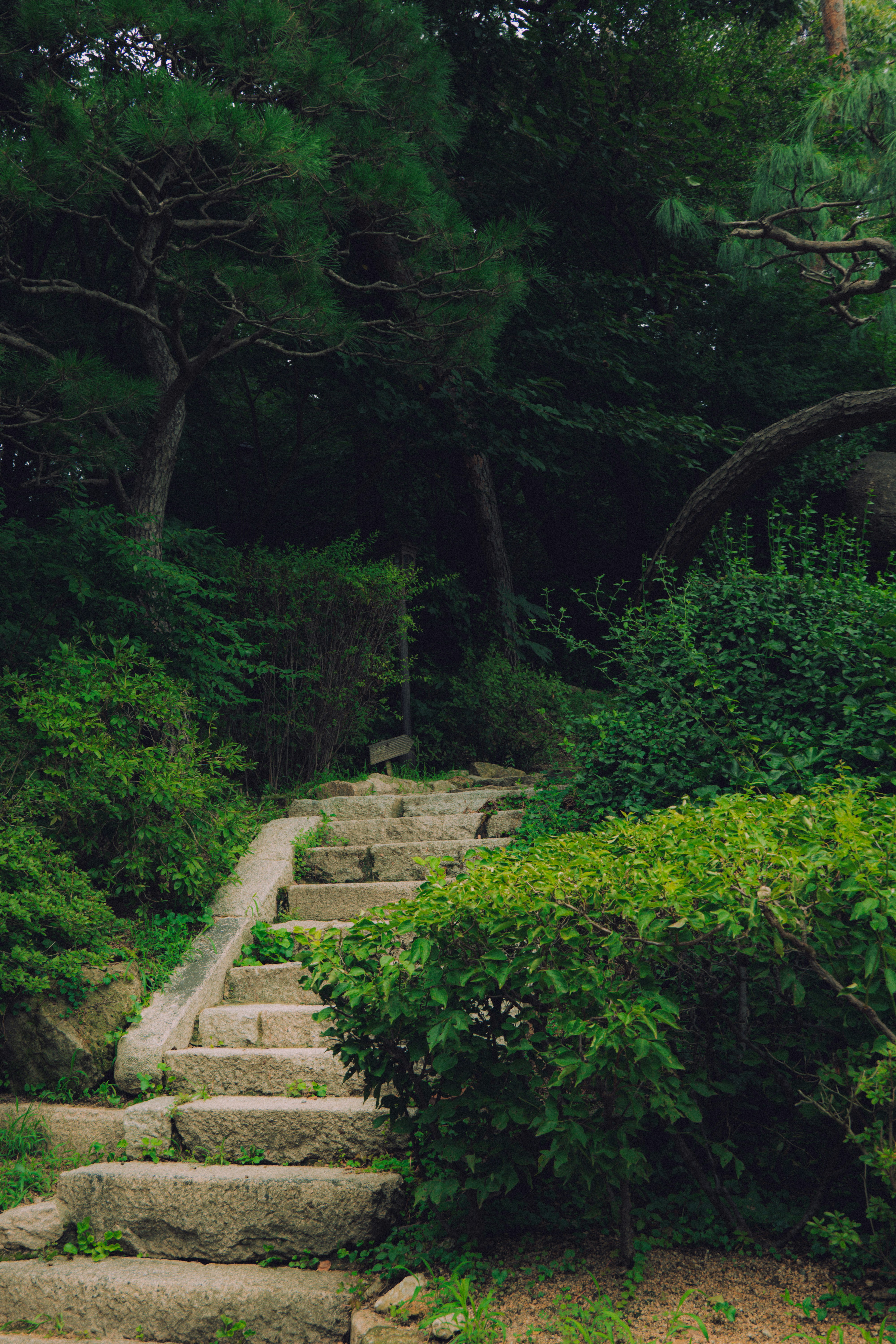 Photo by brother_yoon