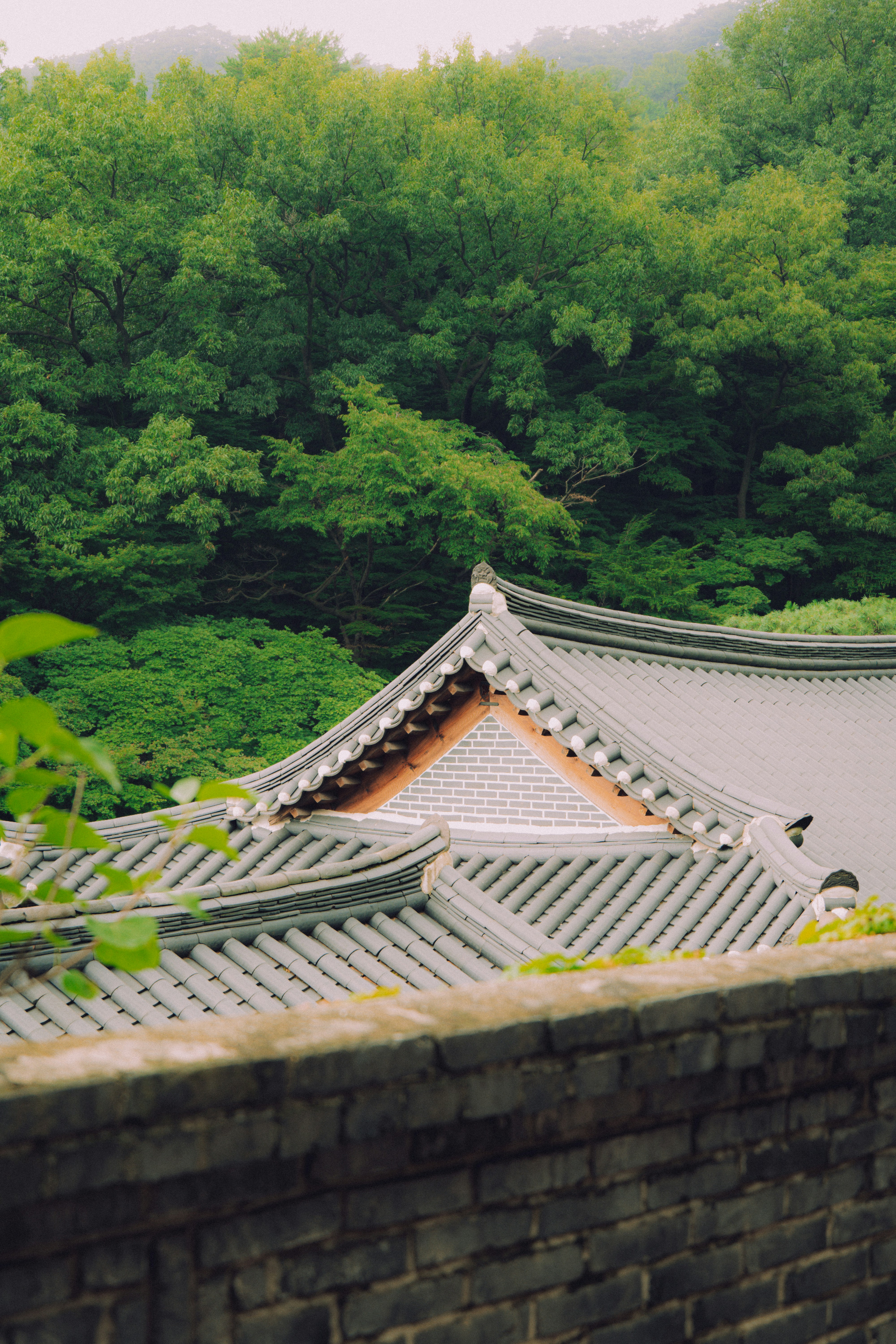 Photo by brother_yoon