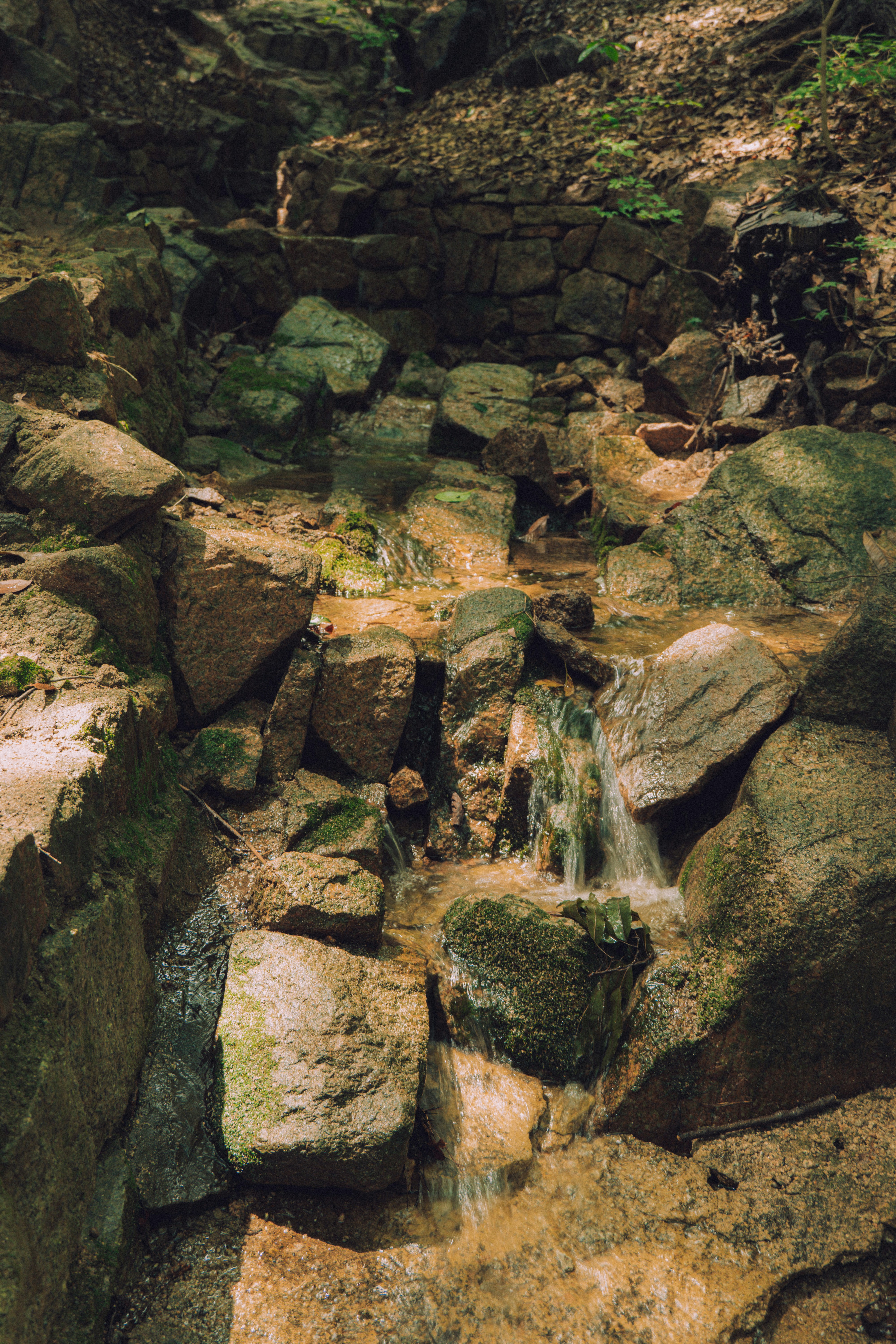 Photo by brother_yoon