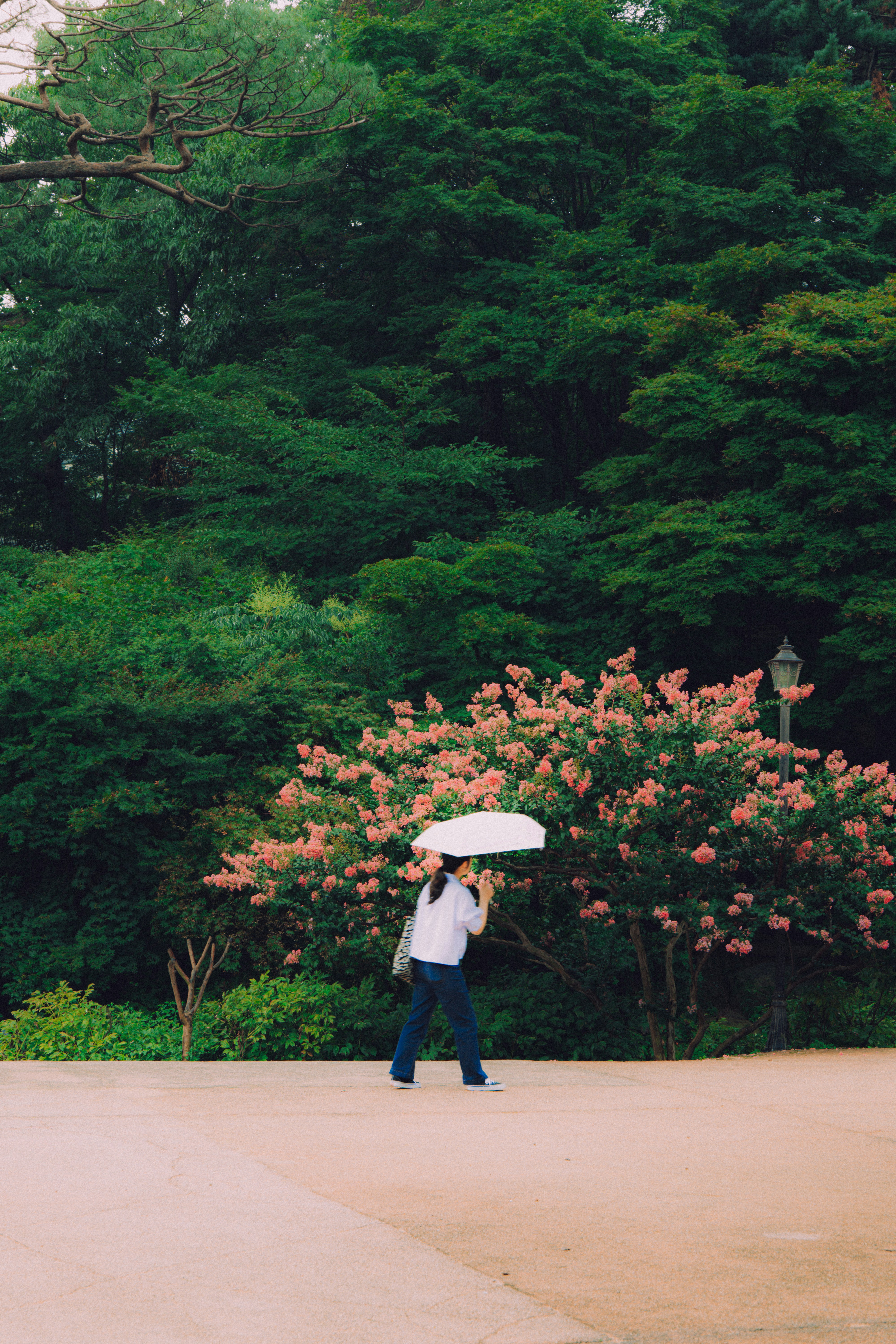 Photo by brother_yoon