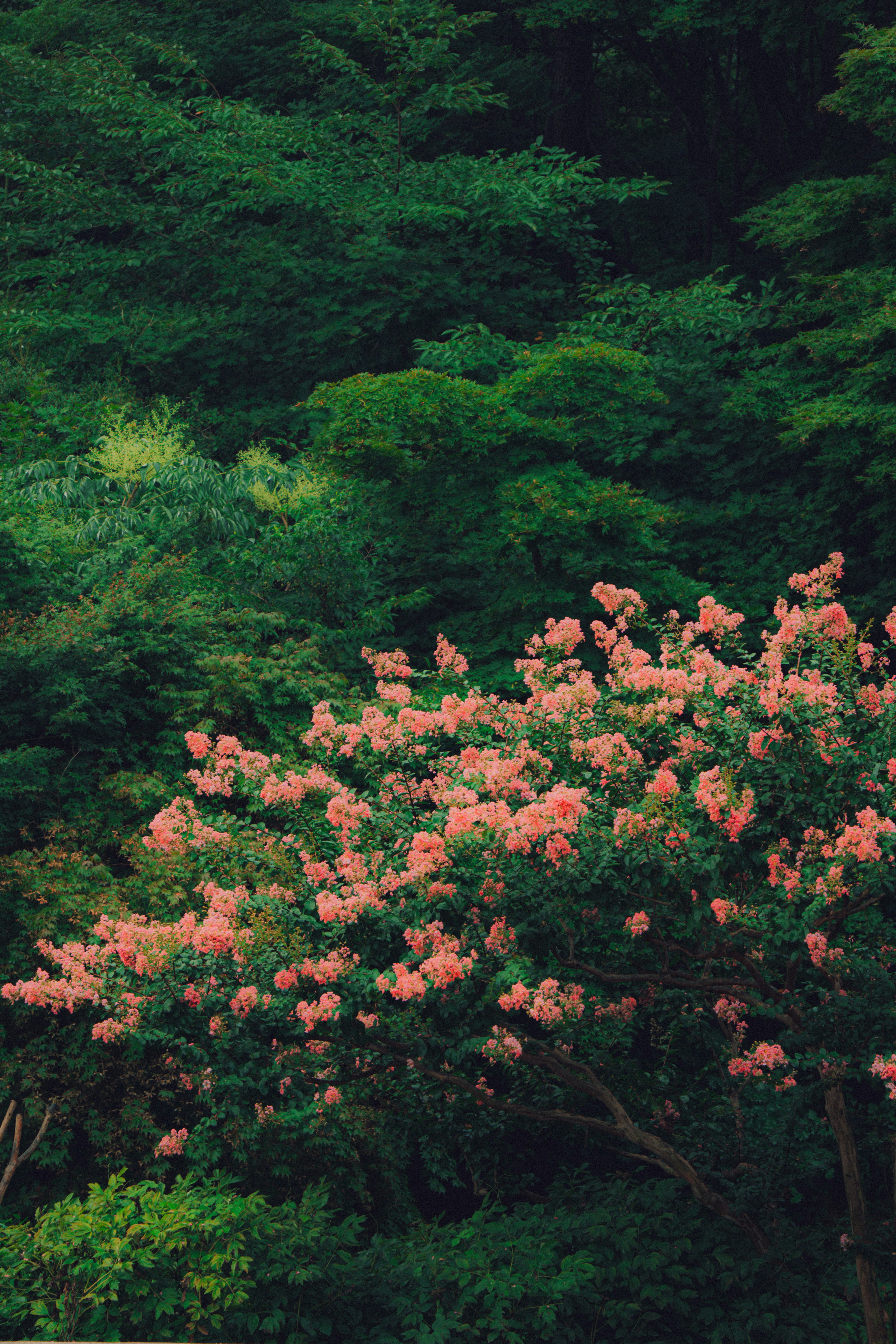 Photo by brother_yoon