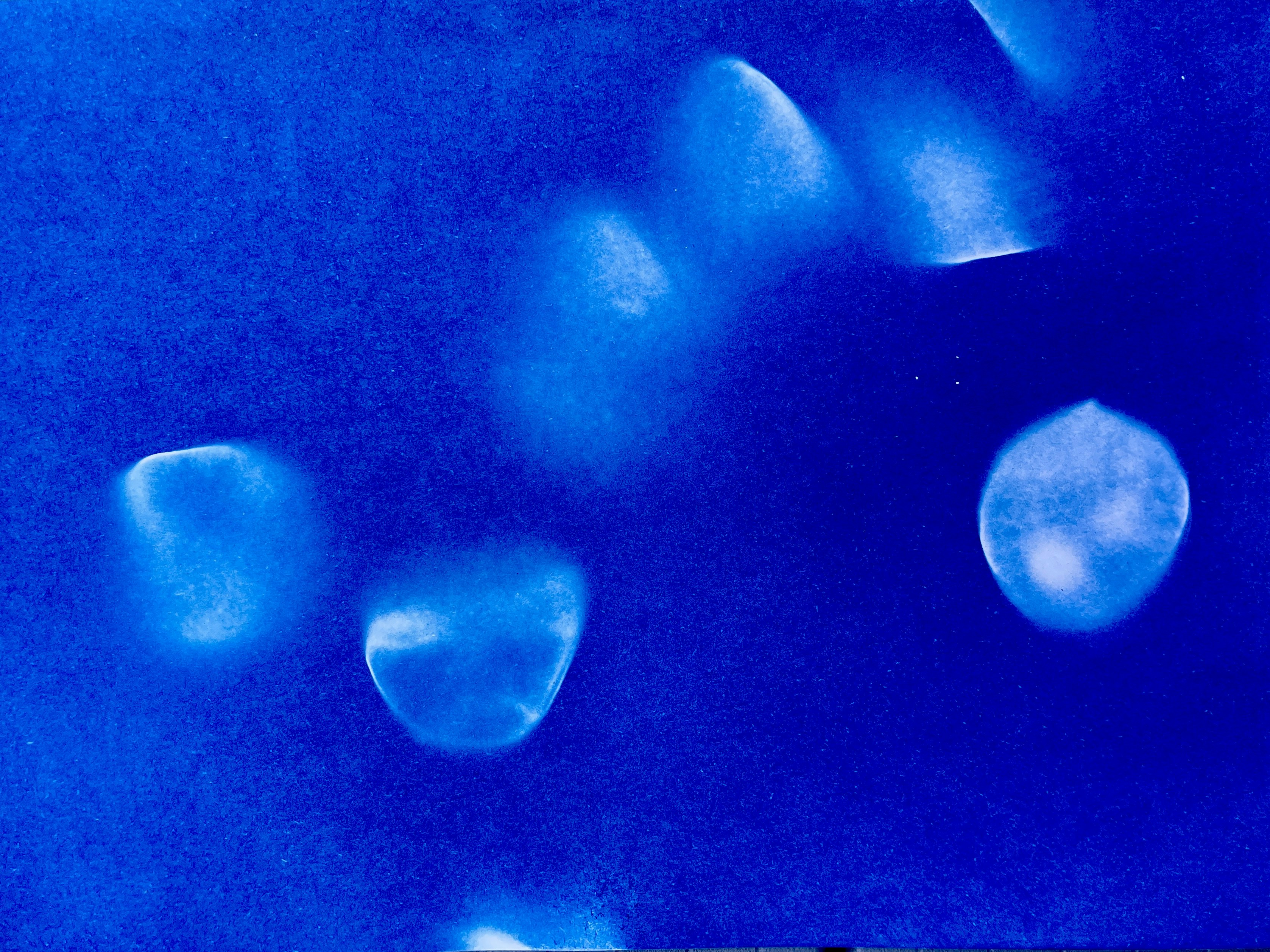 Photo by siobhanflannery