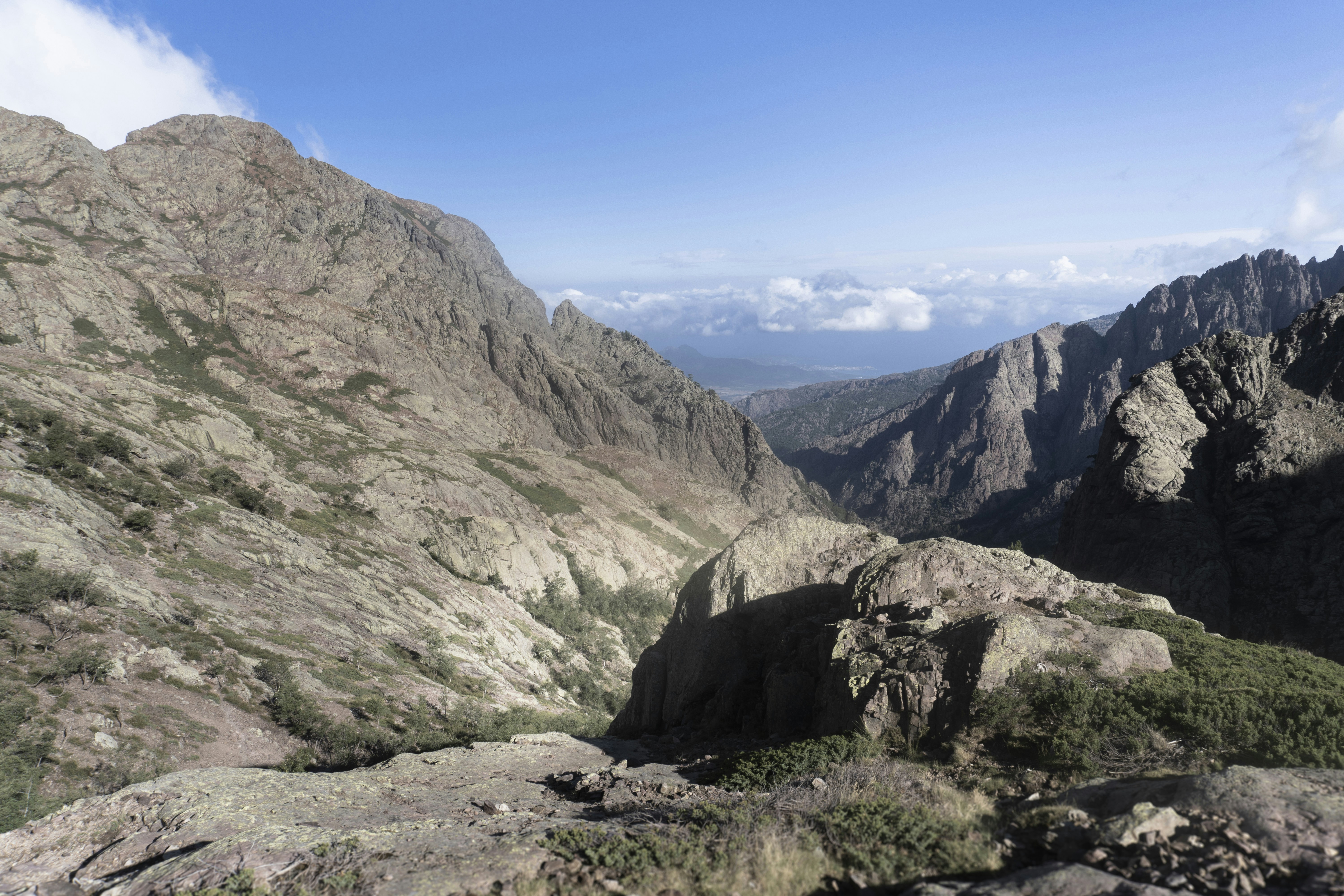 Photo by frederic_lobrutto