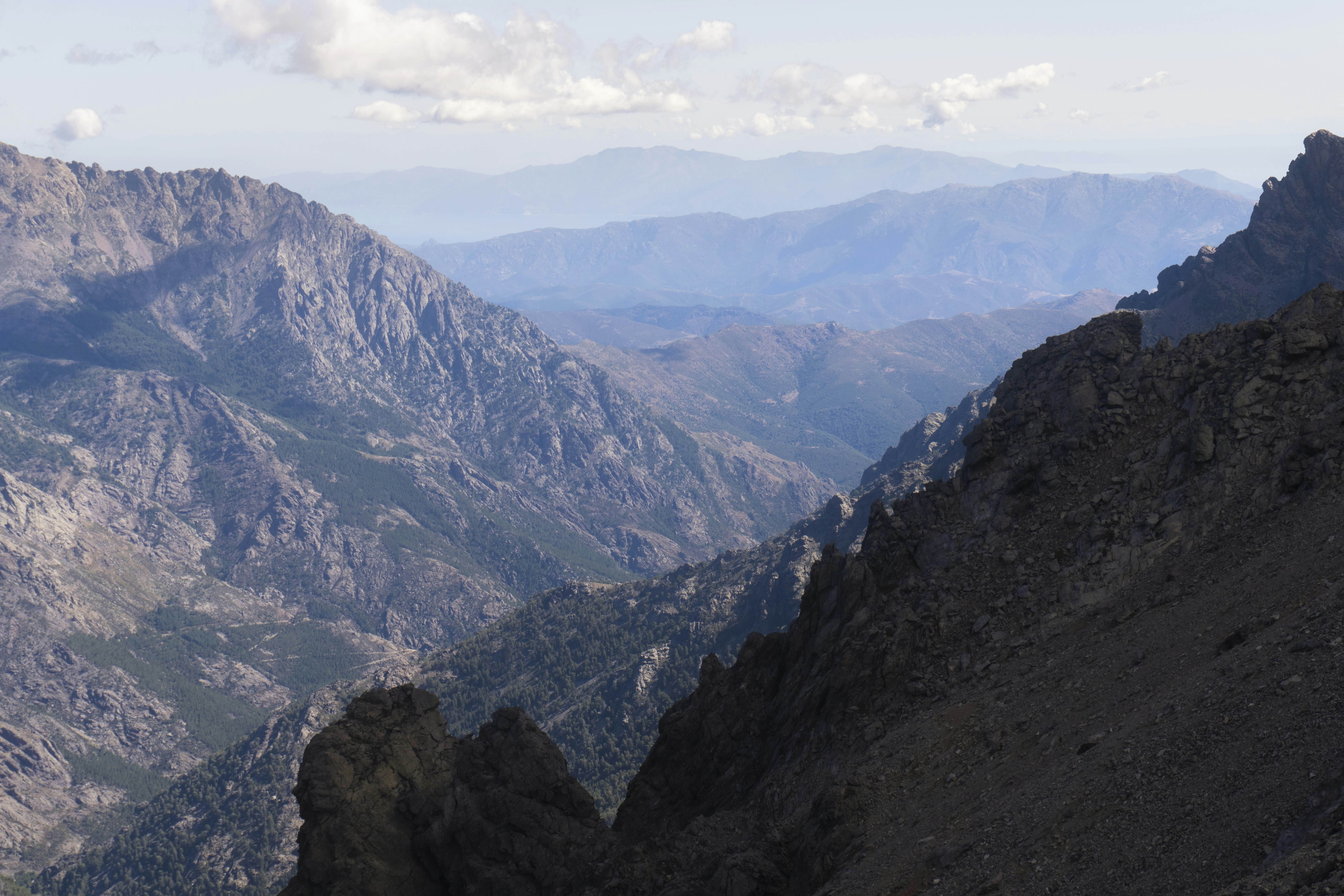 Photo by frederic_lobrutto