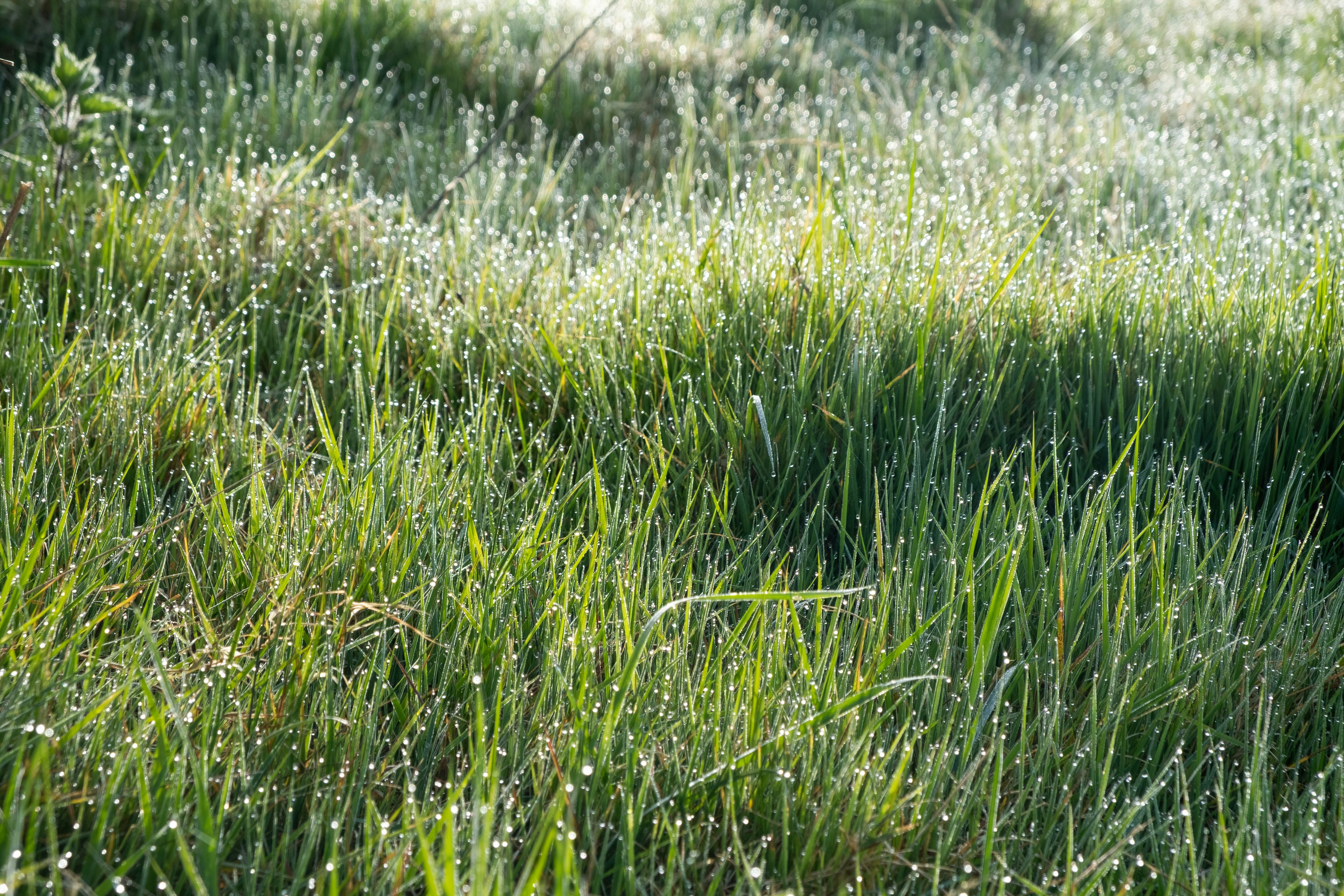 Photo by veronicaa_white