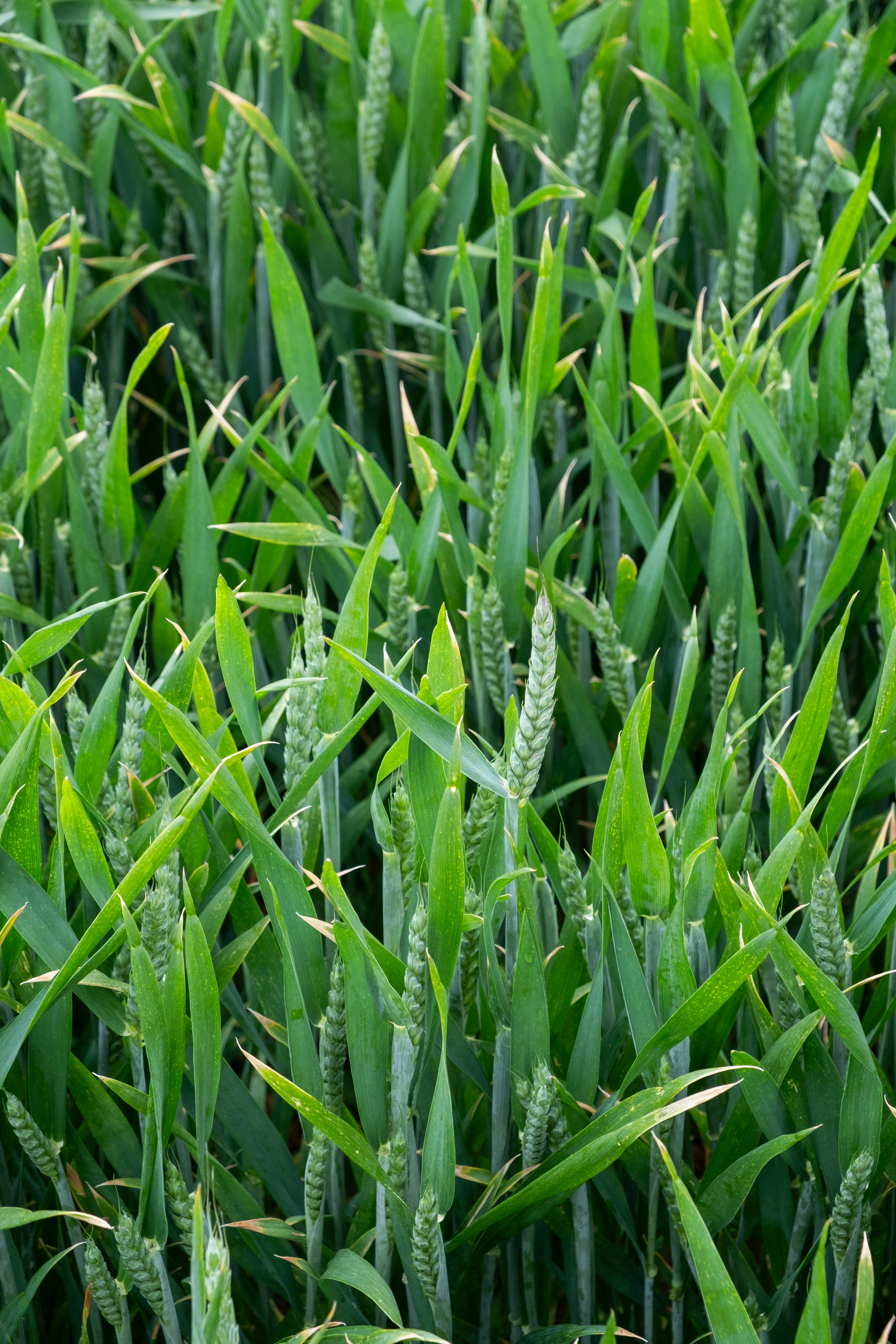 Photo by veronicaa_white