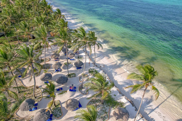 Tropical beach with palm trees and clear turquoise water in Zanzibar
