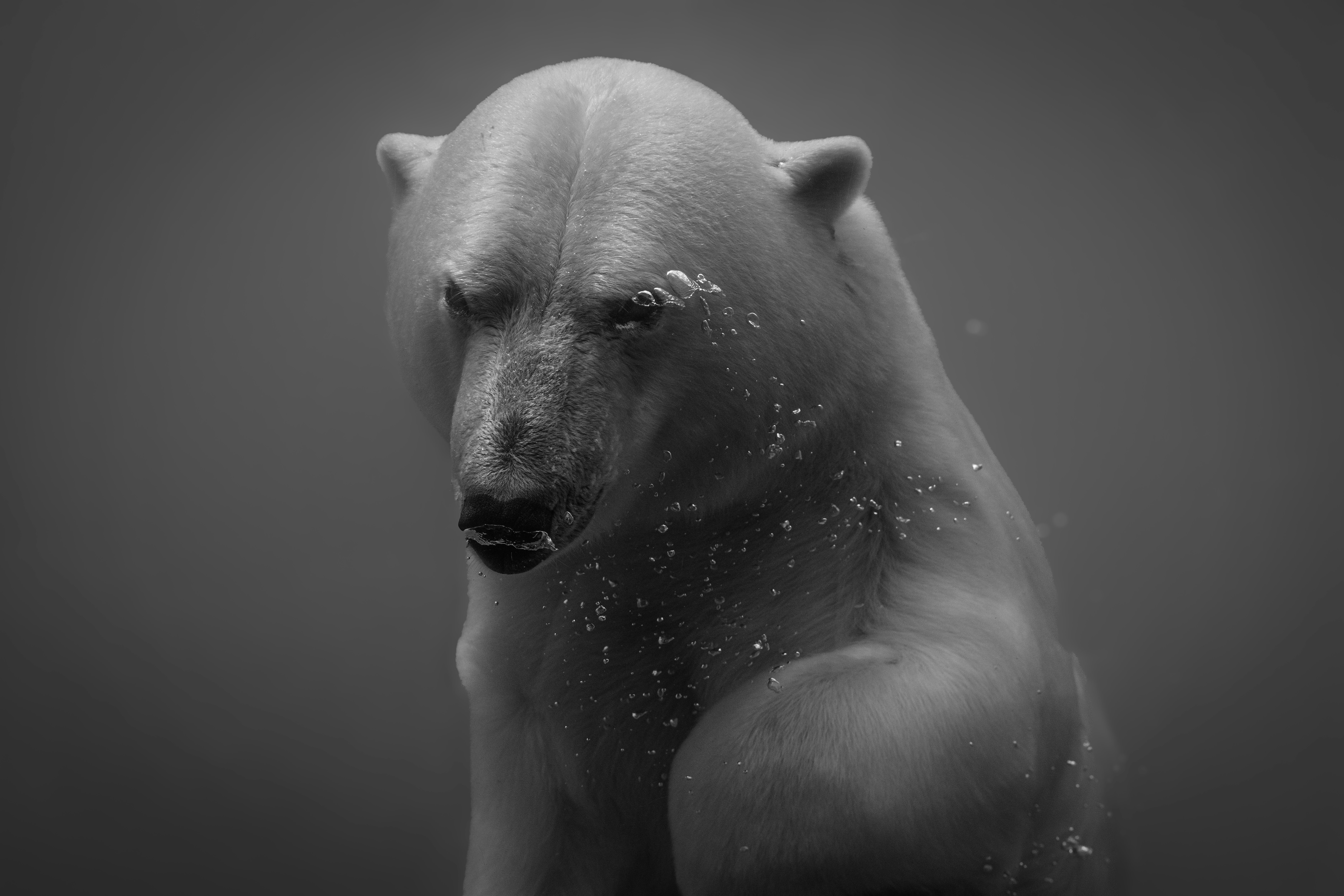 Wondering What Integrative Health Actually Entails? Discover The Top 7 Myths Disproved And Unlock The Reality Behind This Holistic Method