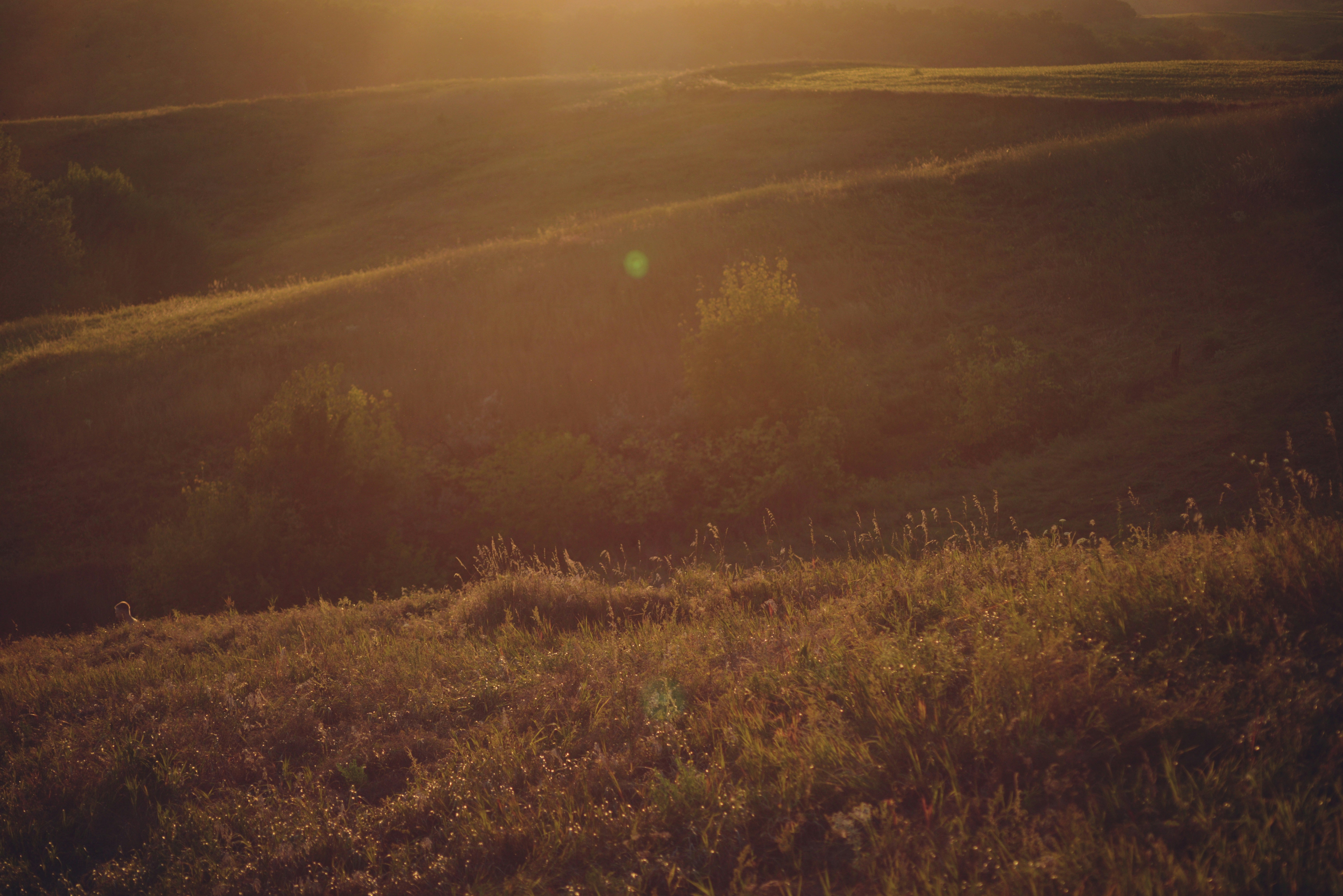 Photo by cherstve_pechivo