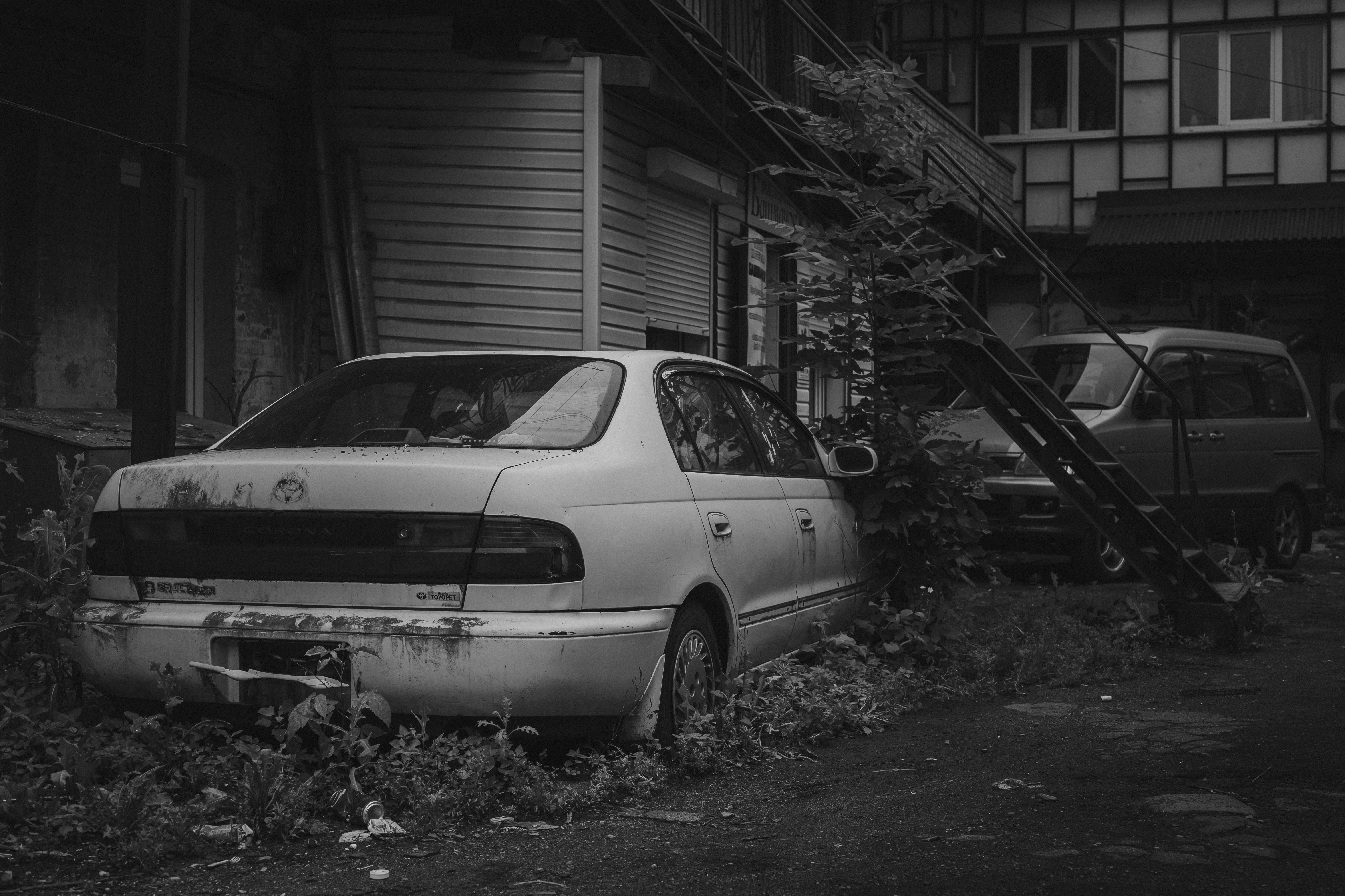 Abandoned cars overgrown with grass near building