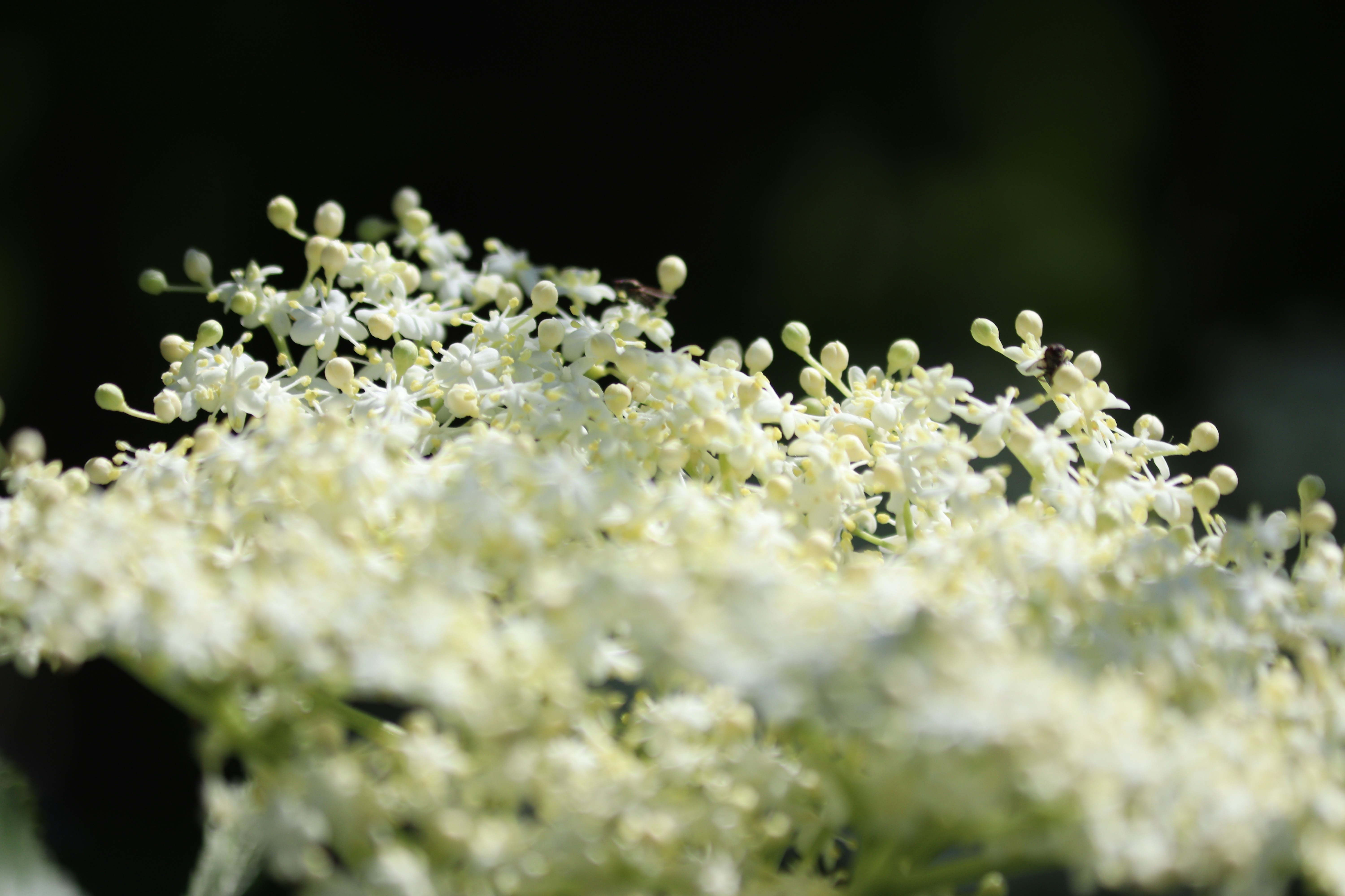 Photo by fotografialuivlad