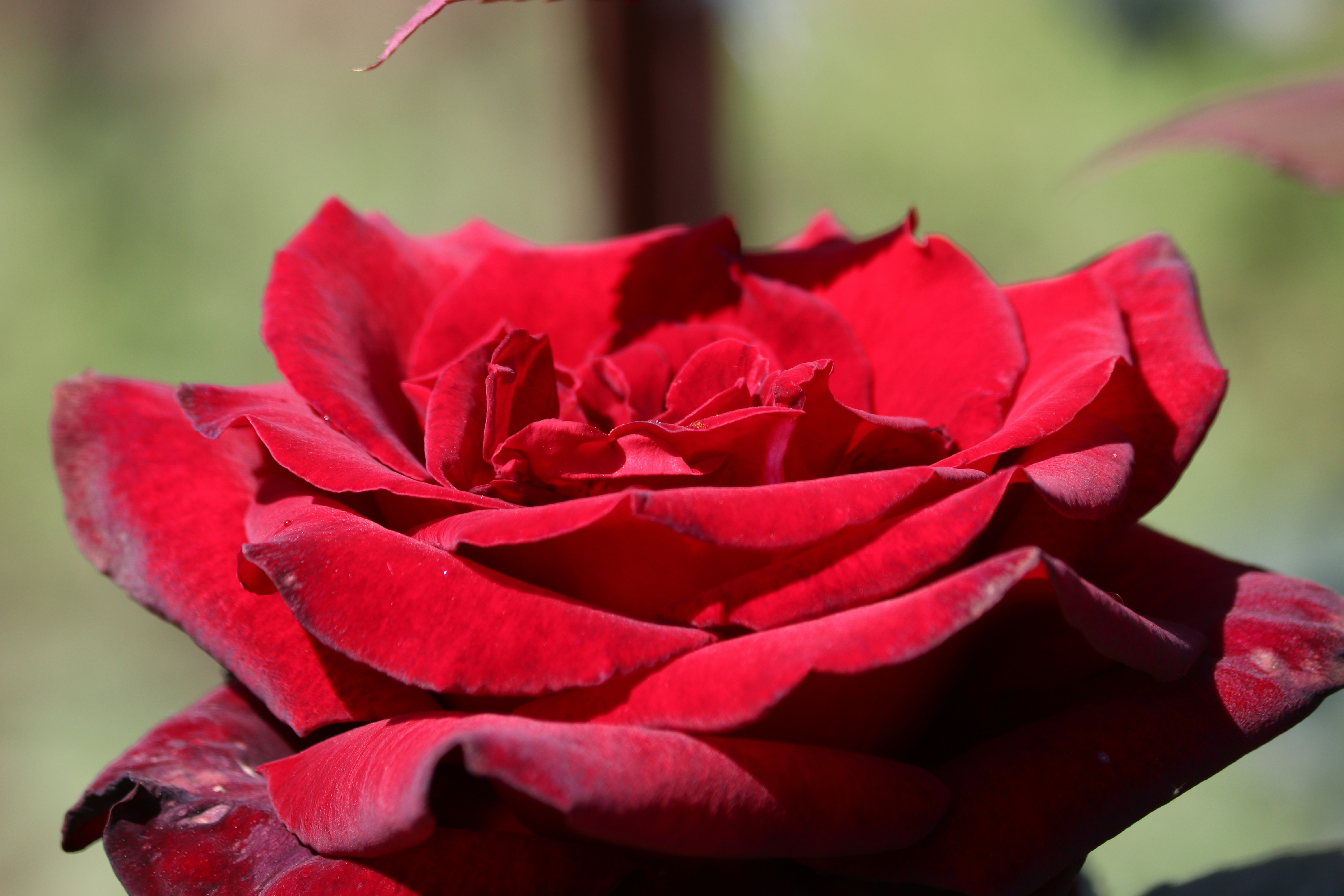 Photo by fotografialuivlad