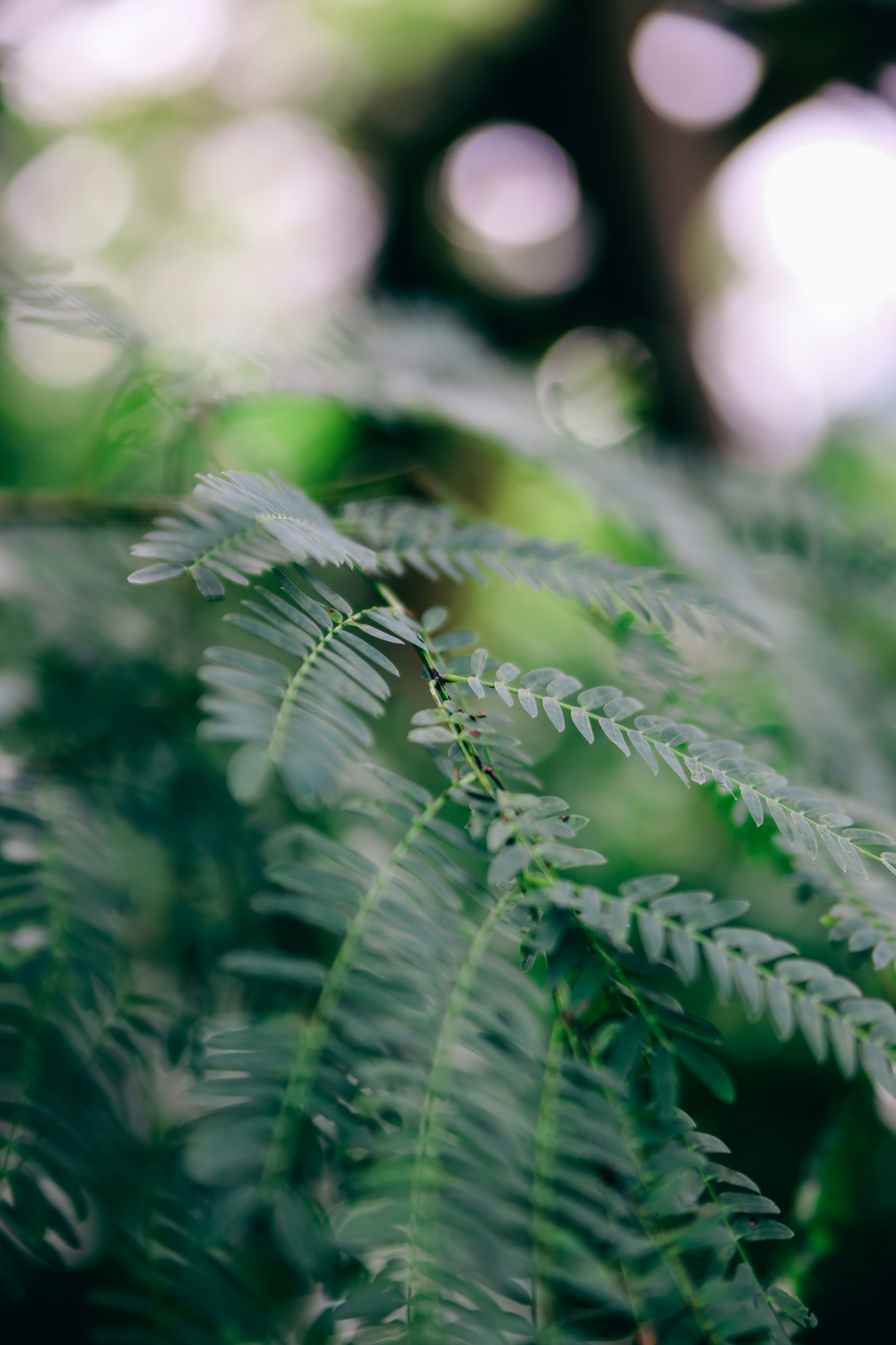 Photo by unclpenguin