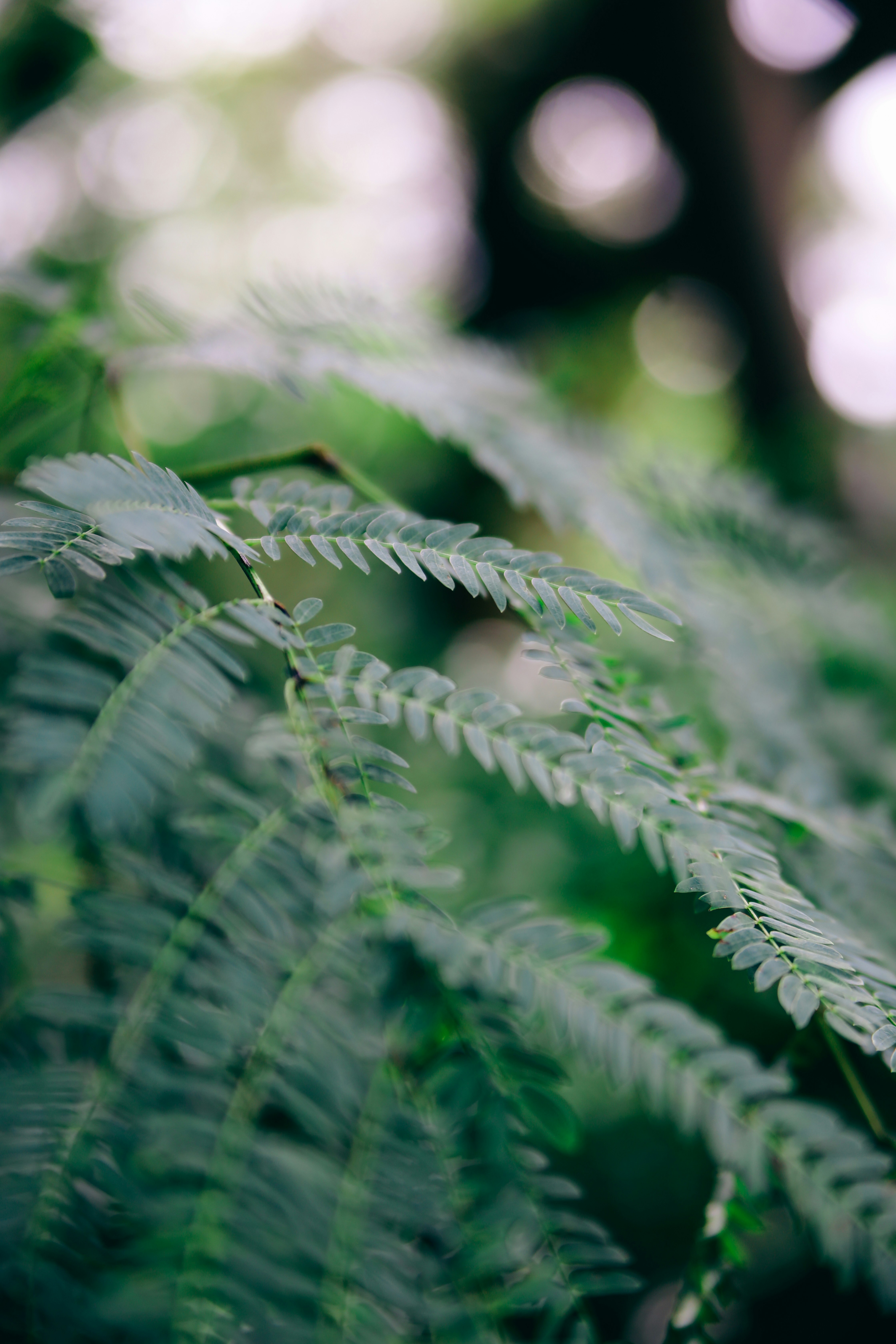 Photo by unclpenguin