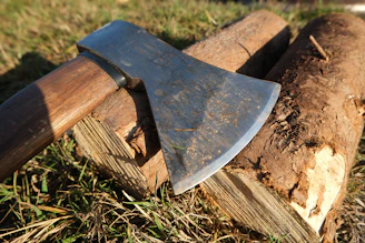 An axe rests on chopped firewood in grass.