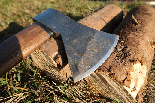An axe rests on chopped firewood in grass.