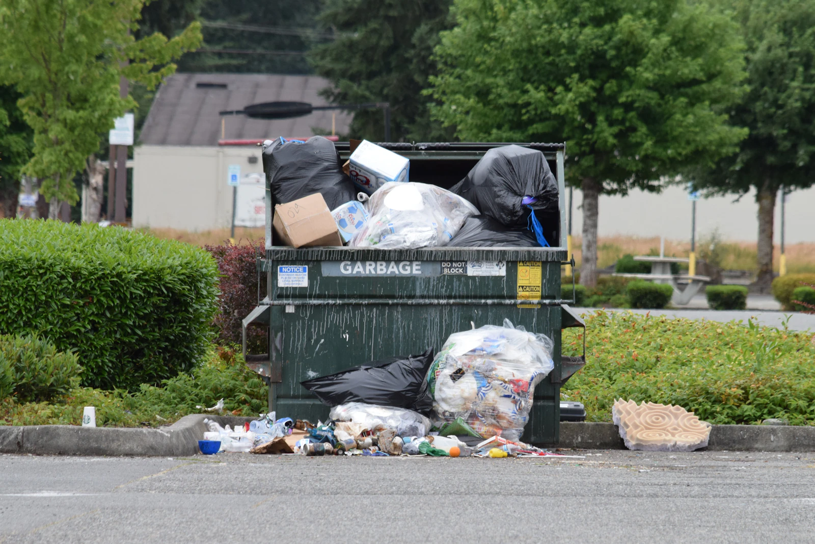 Commercial dumpster container for waste collection