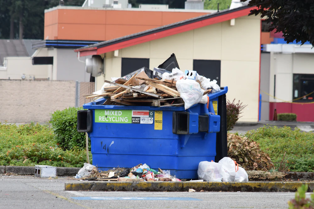 Responsible property cleanup and debris sorting in daylight