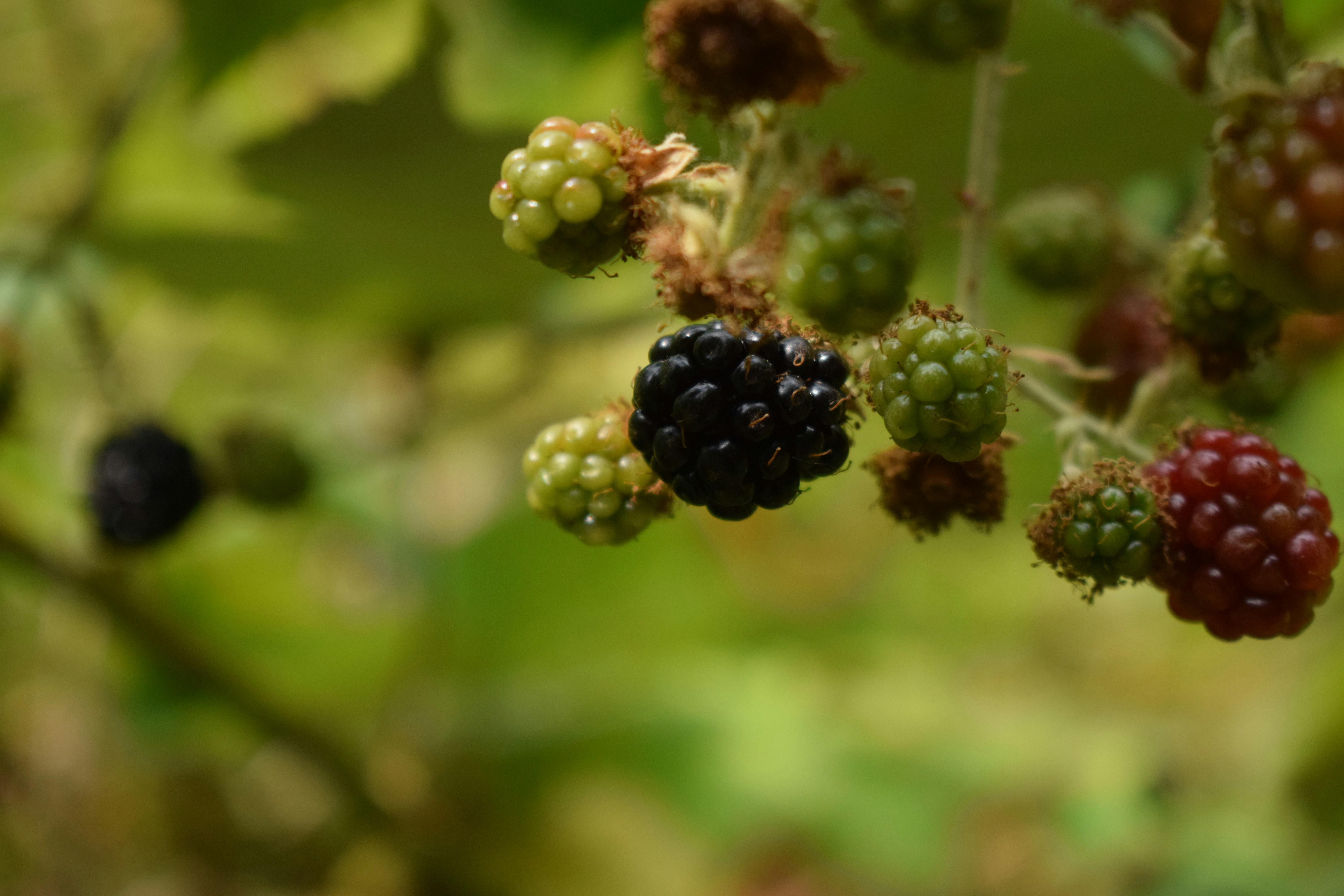 Photo by fr0ggy5_fr0ggy5