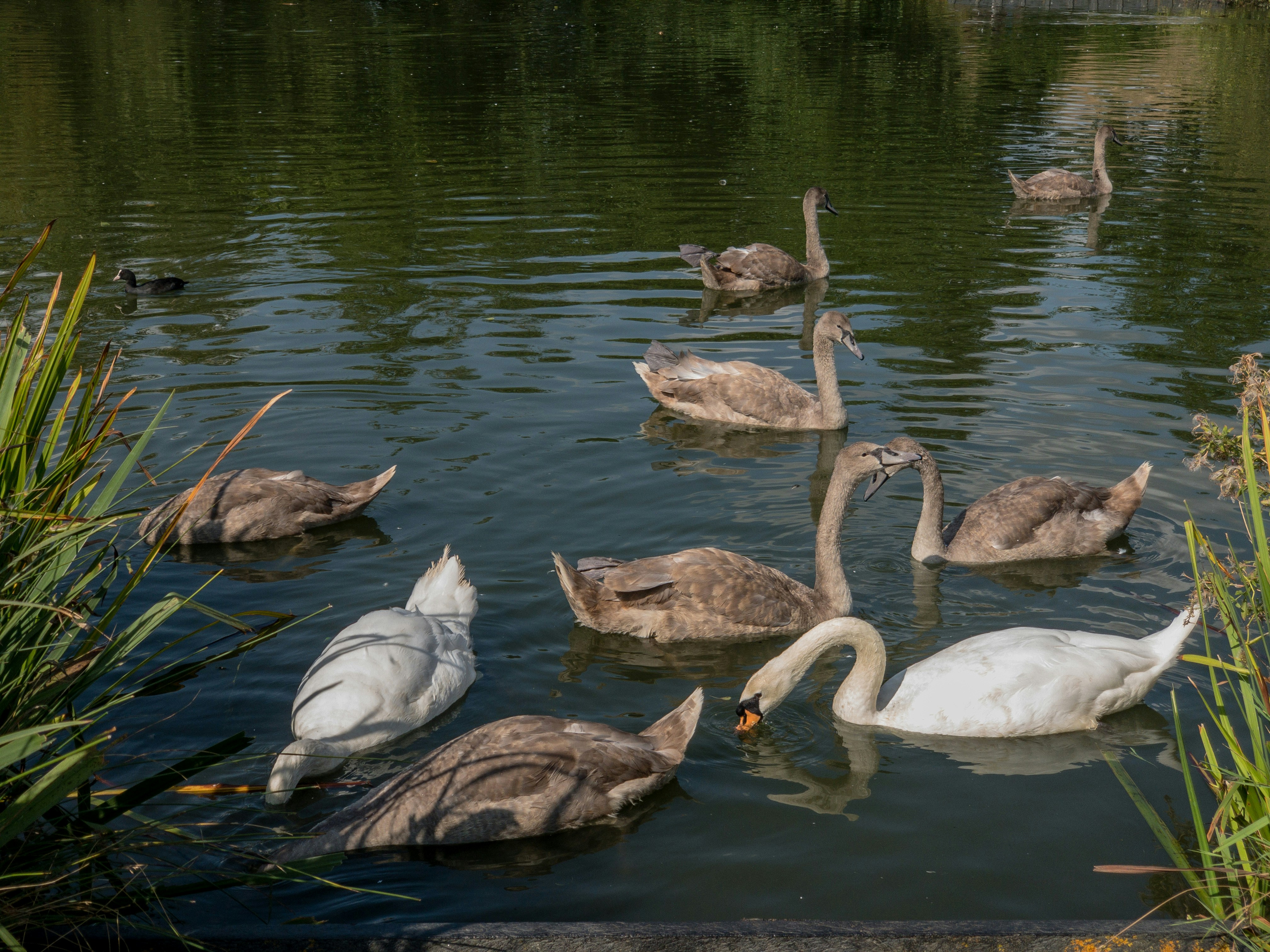 Photo by brett_jordan